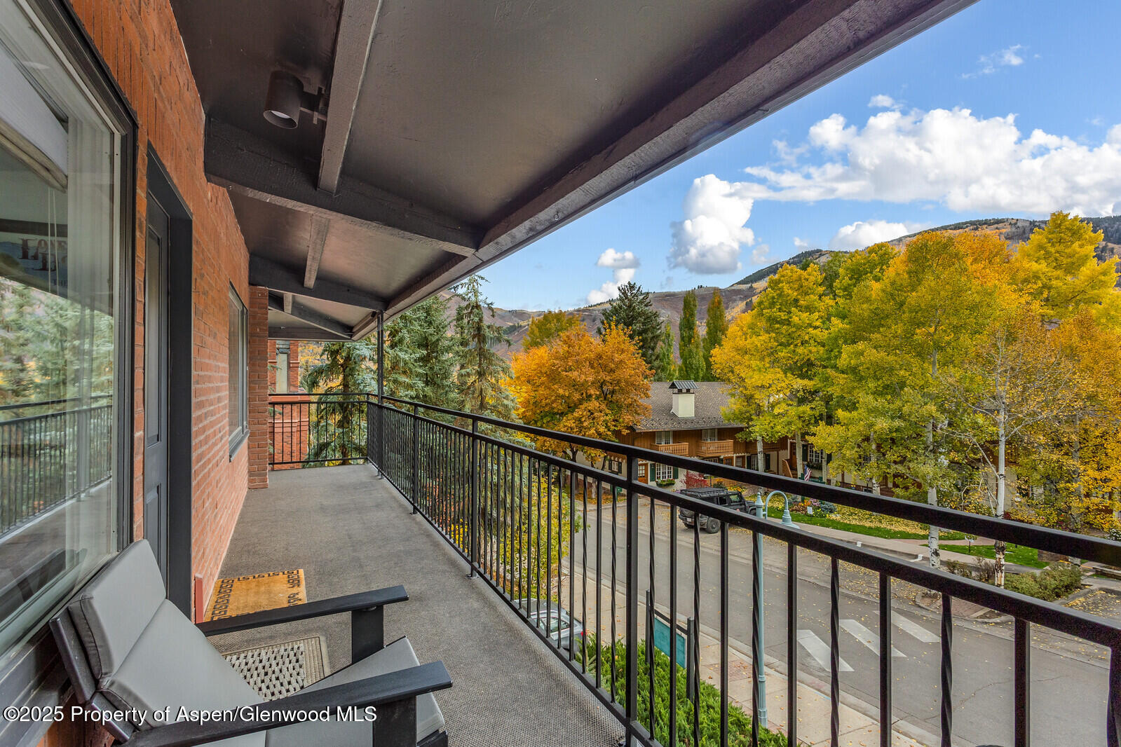 731 S Mill Street Aspen CO 81611