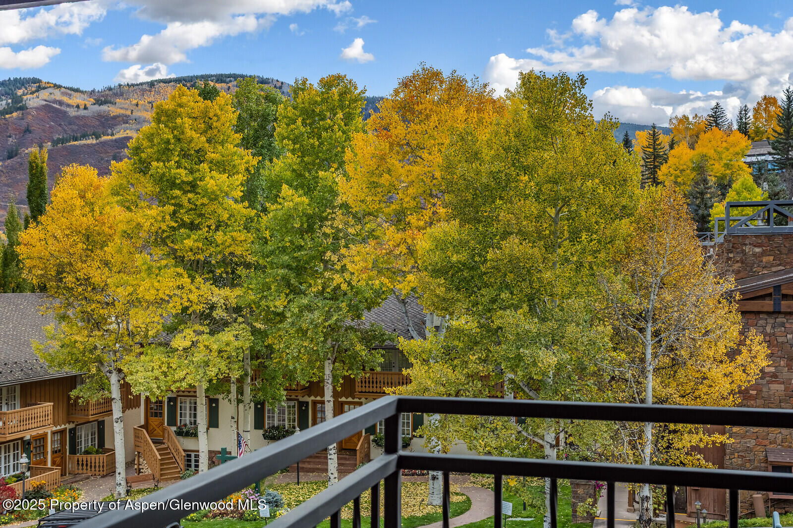 731 S Mill Street Aspen CO 81611