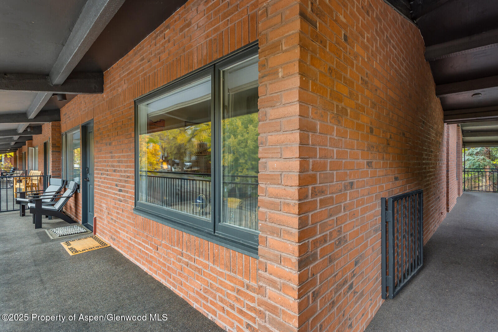 731 S Mill Street Aspen CO 81611