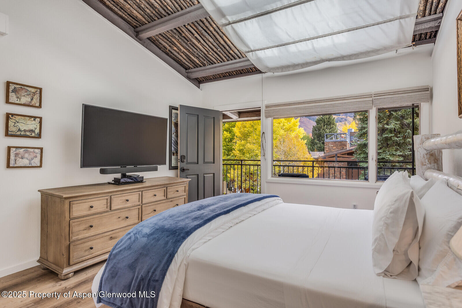 731 S Mill Street Aspen CO 81611