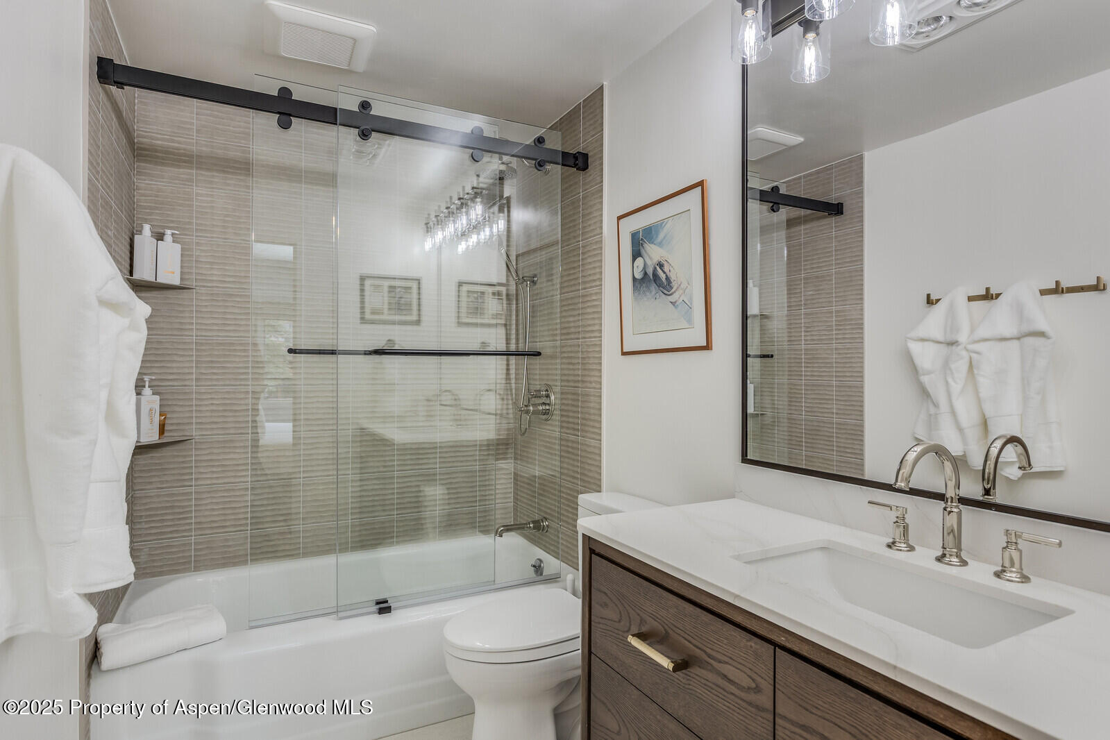 731 S Mill Street Aspen CO 81611