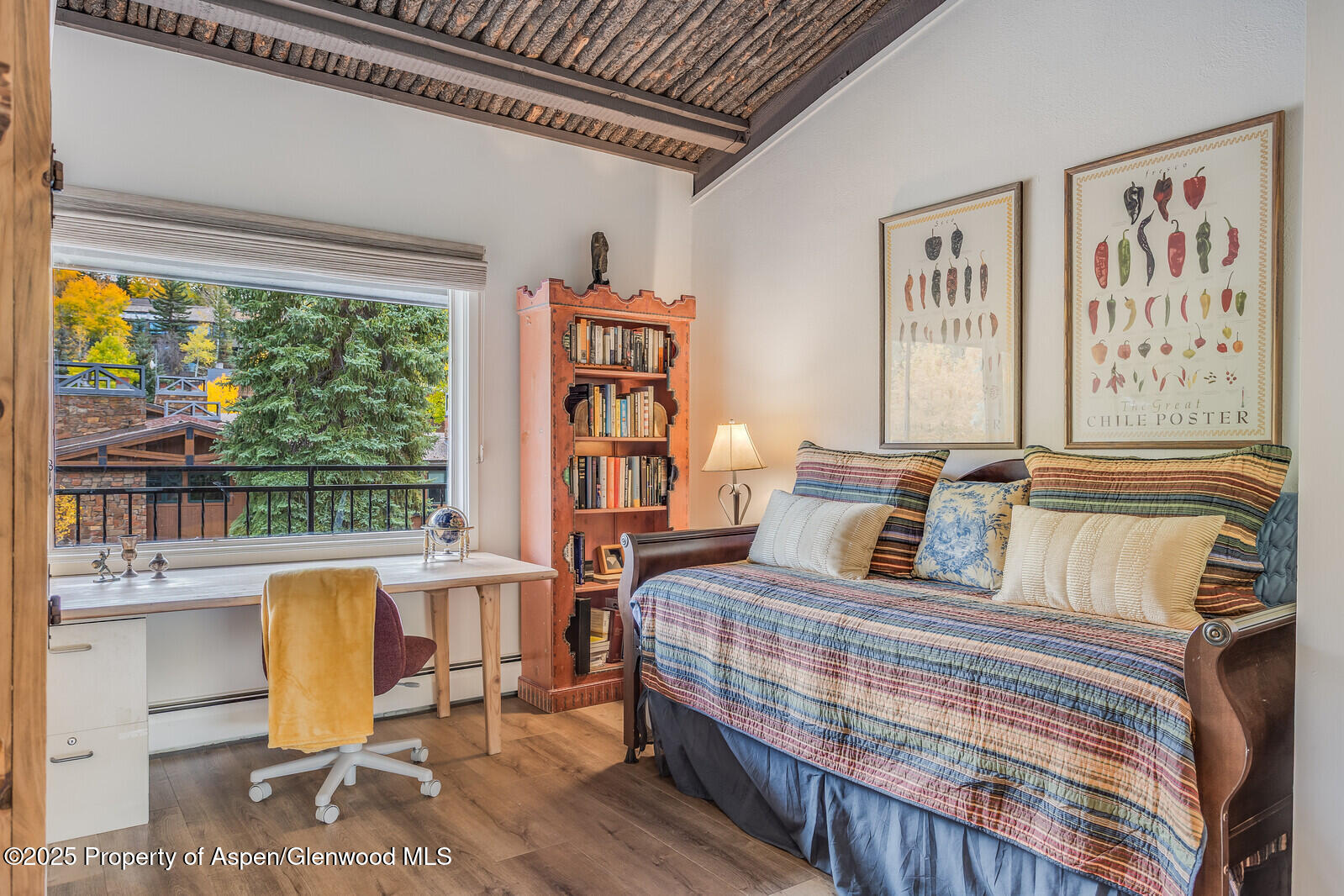 731 S Mill Street Aspen CO 81611