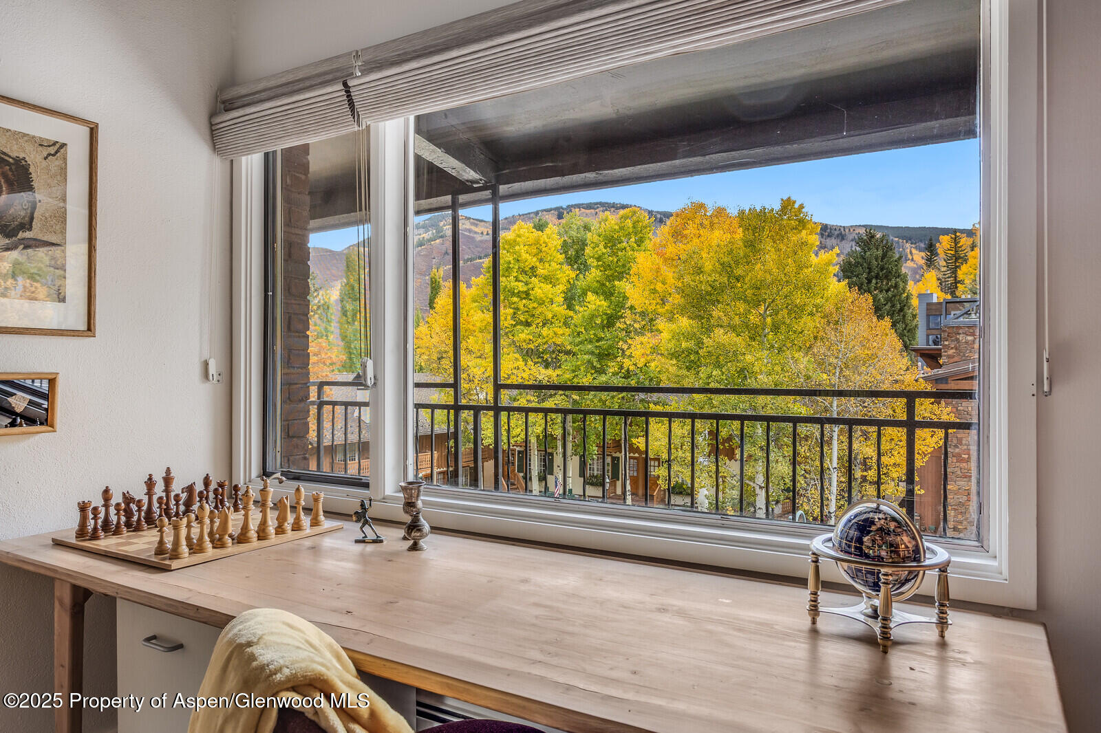 731 S Mill Street Aspen CO 81611