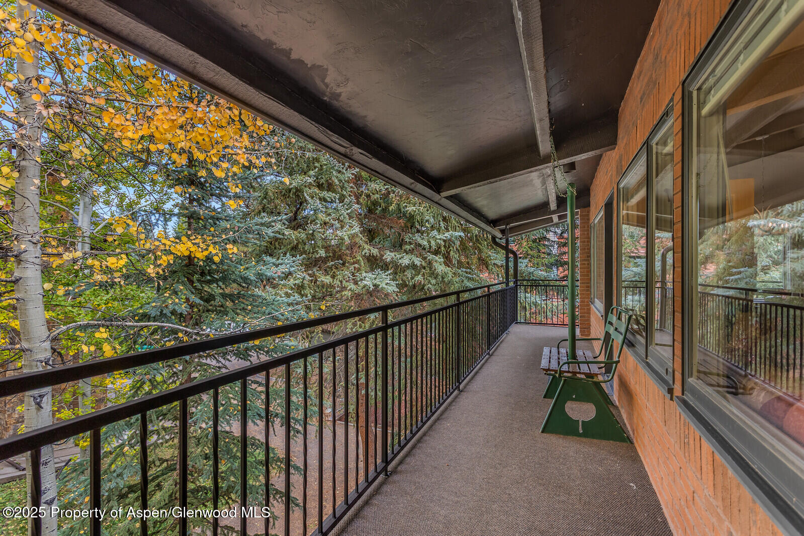 731 S Mill Street Aspen CO 81611