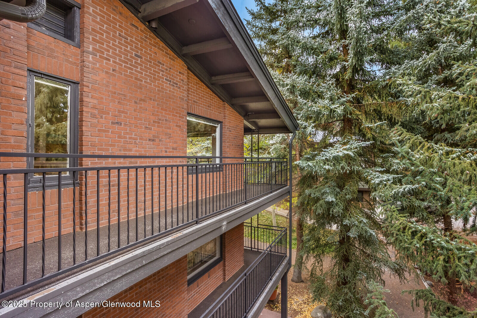 731 S Mill Street Aspen CO 81611