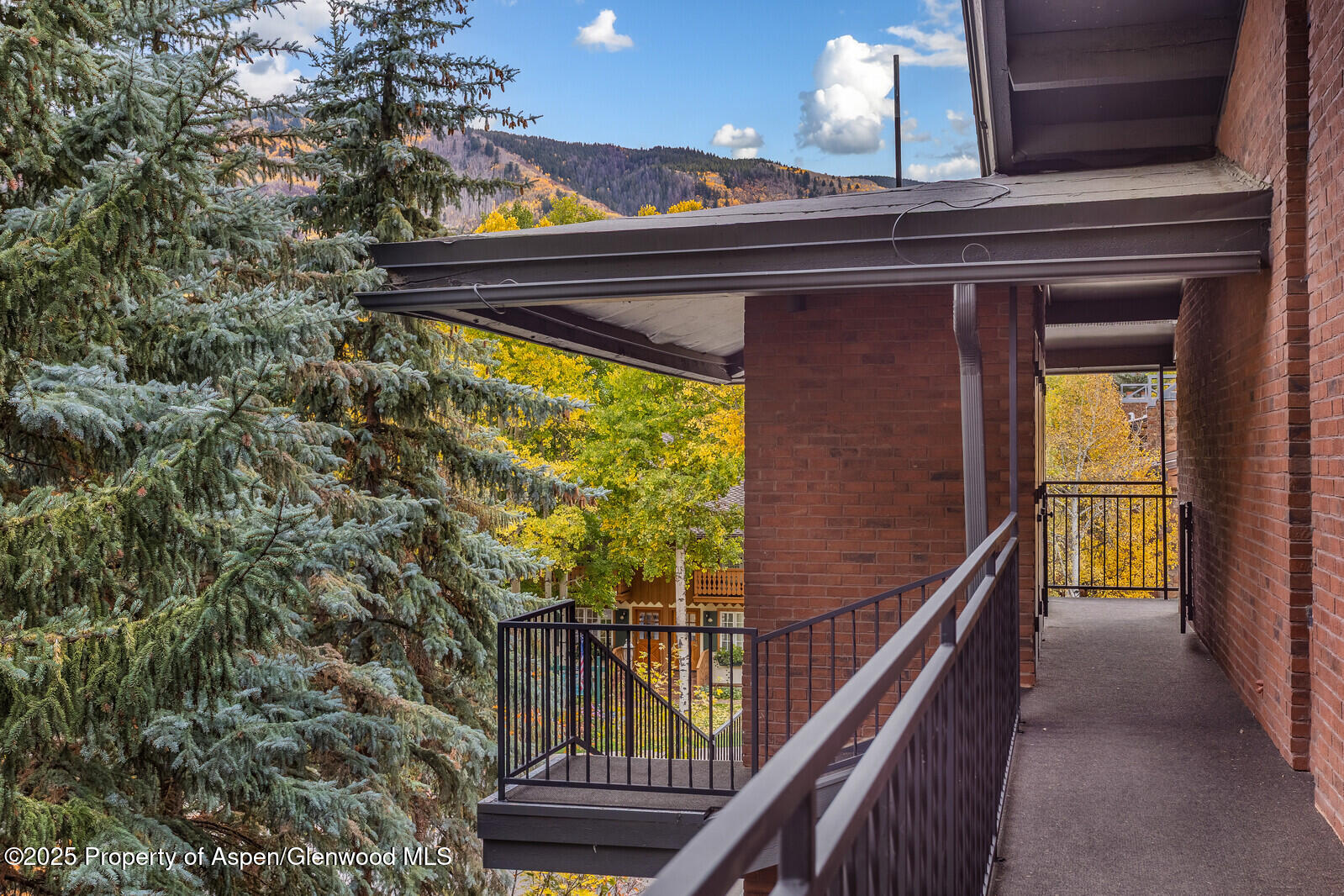 731 S Mill Street Aspen CO 81611