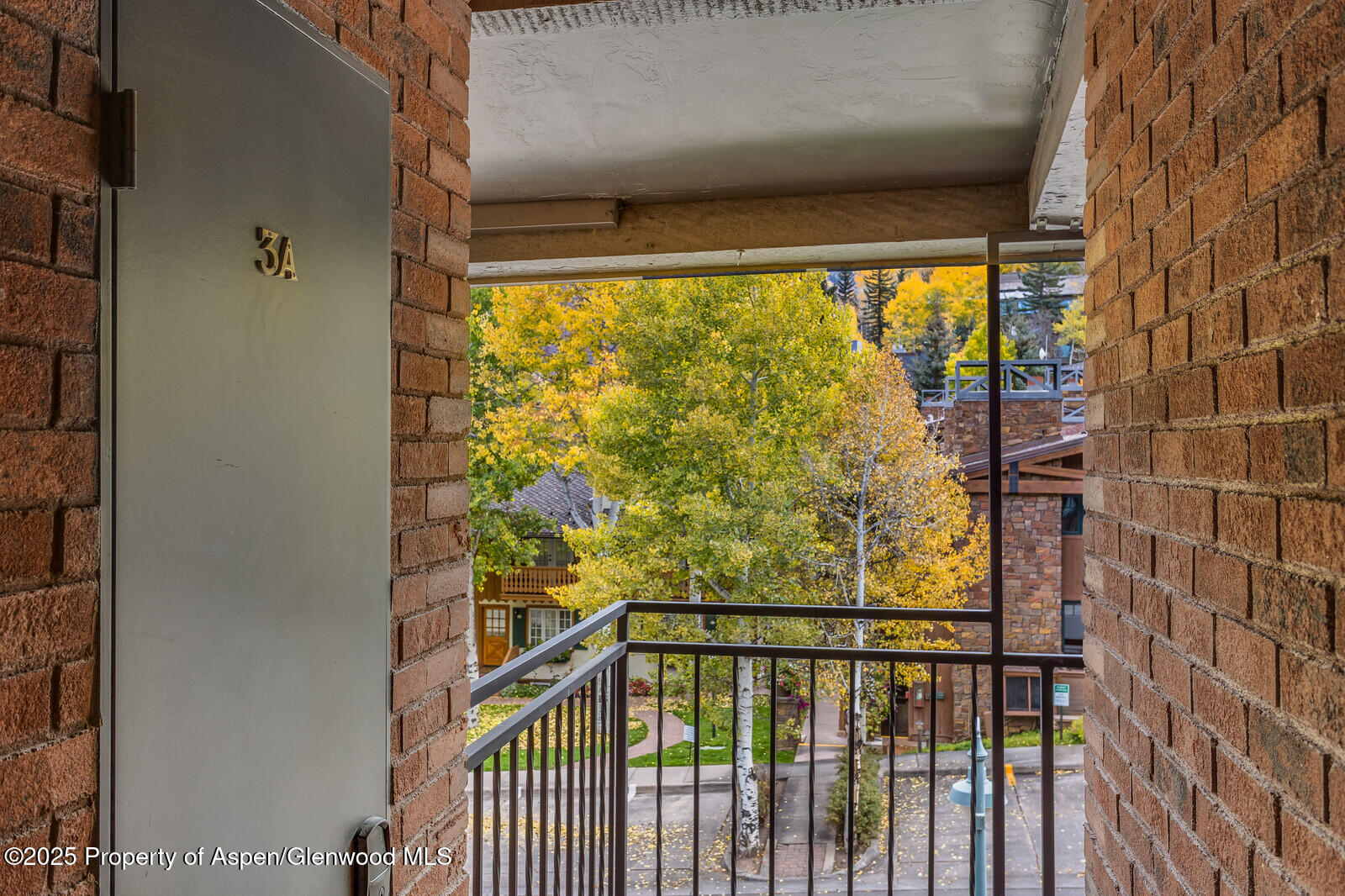 731 S Mill Street Aspen CO 81611