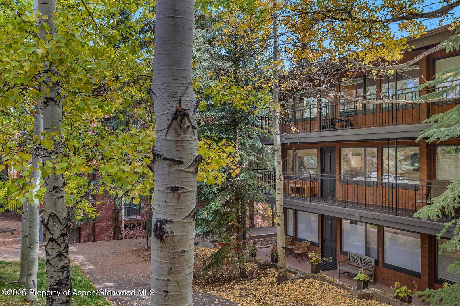 731 S Mill Street Aspen CO 81611
