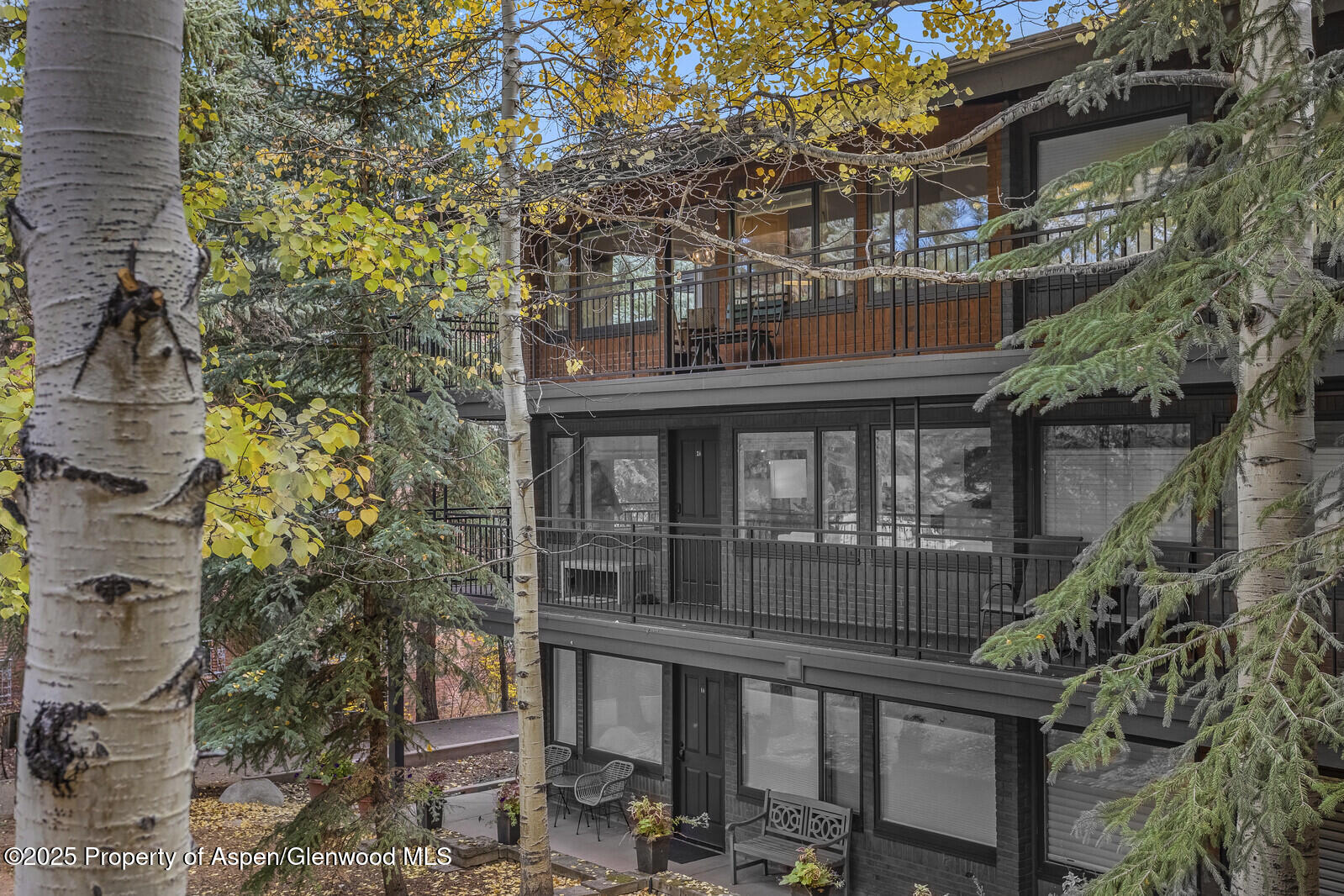731 S Mill Street Aspen CO 81611