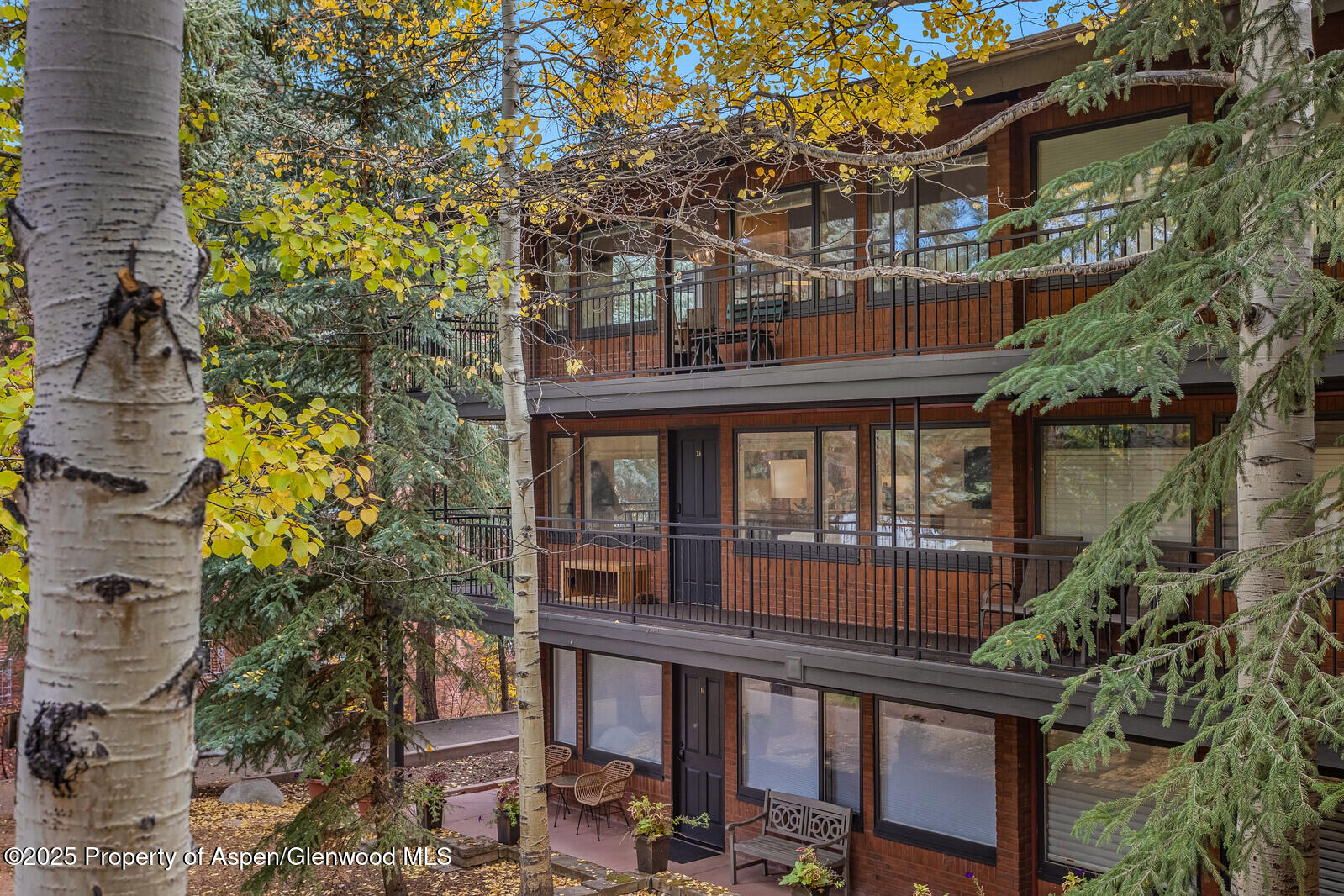731 S Mill Street Aspen CO 81611