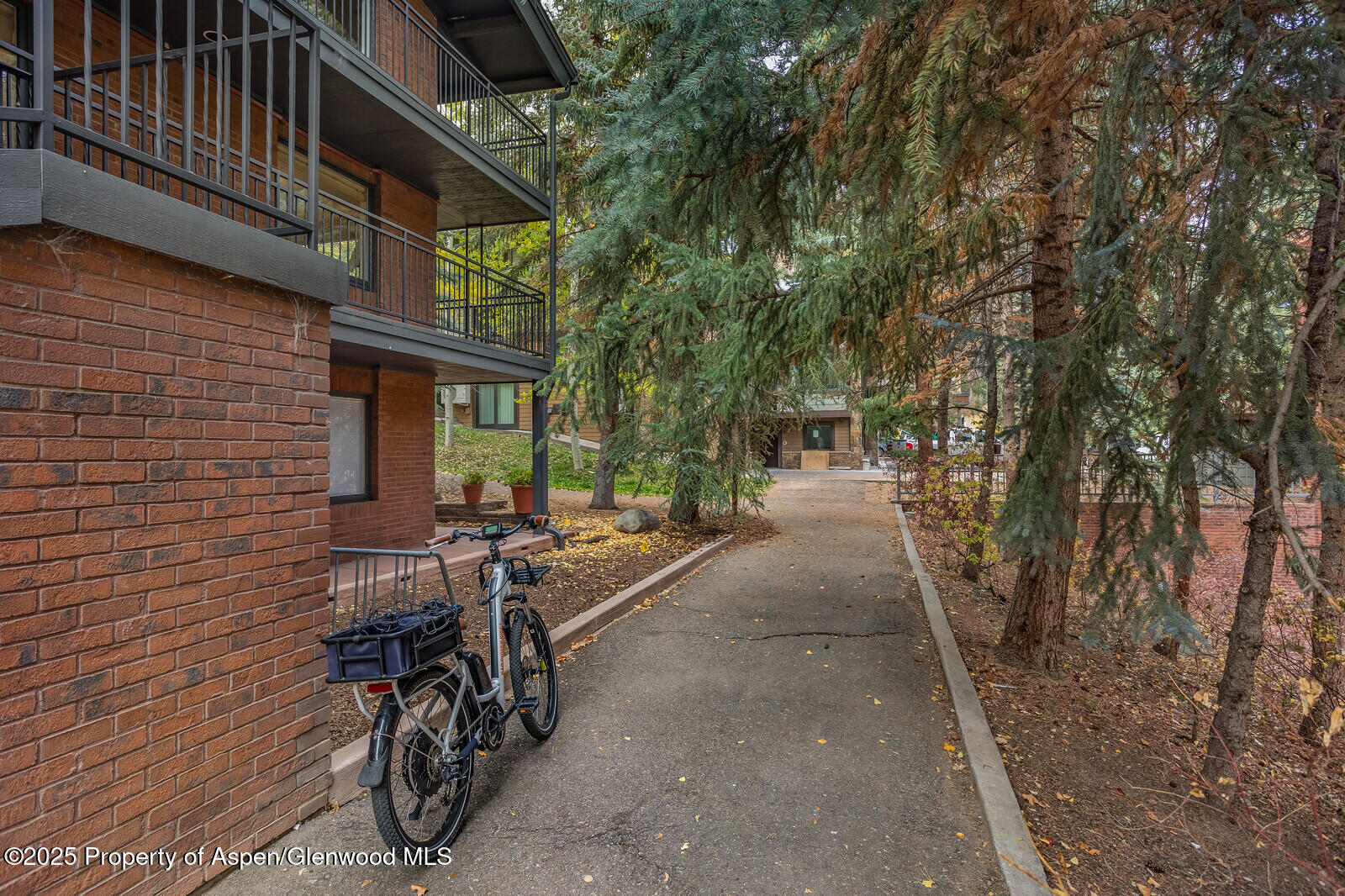 731 S Mill Street Aspen CO 81611