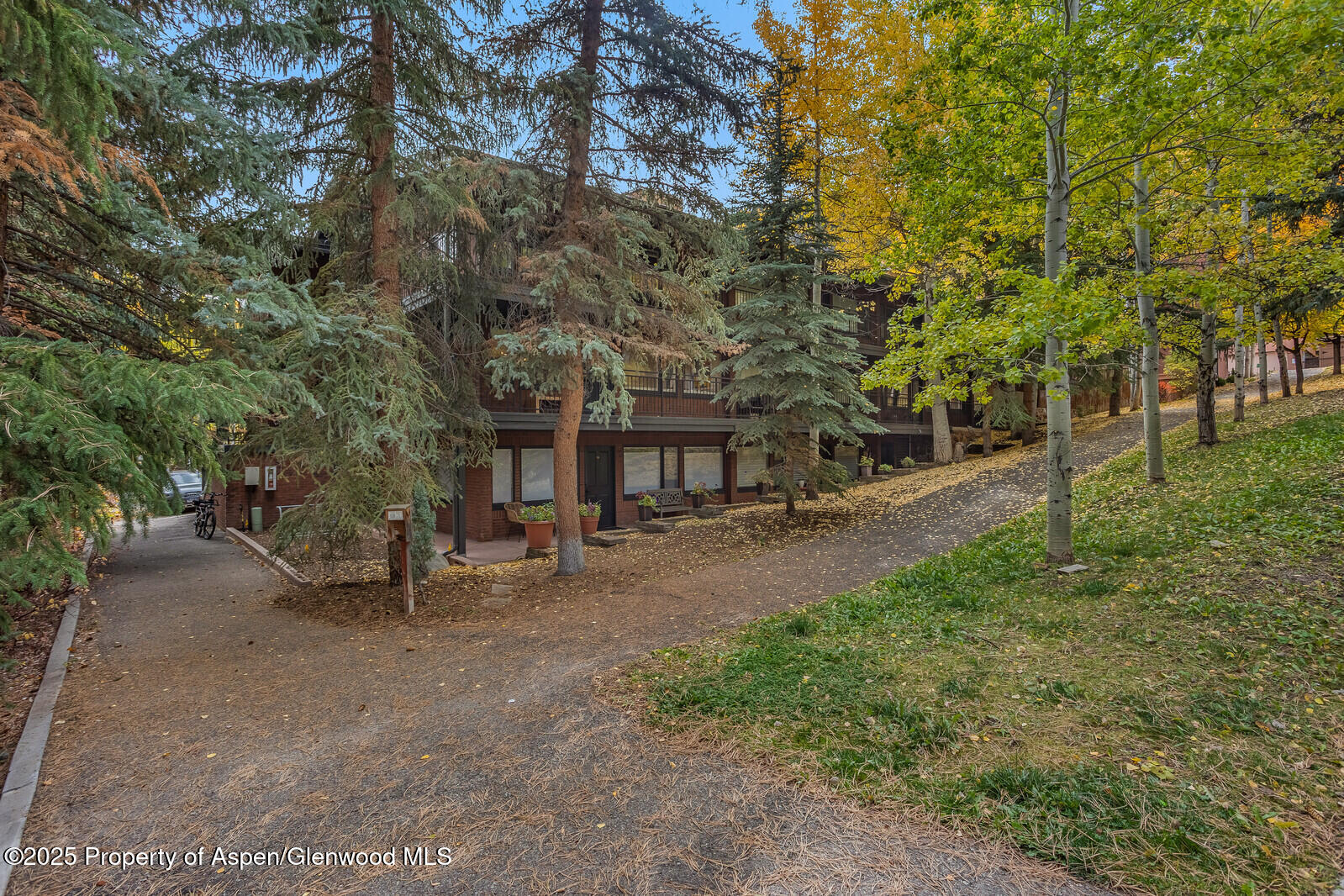 731 S Mill Street Aspen CO 81611