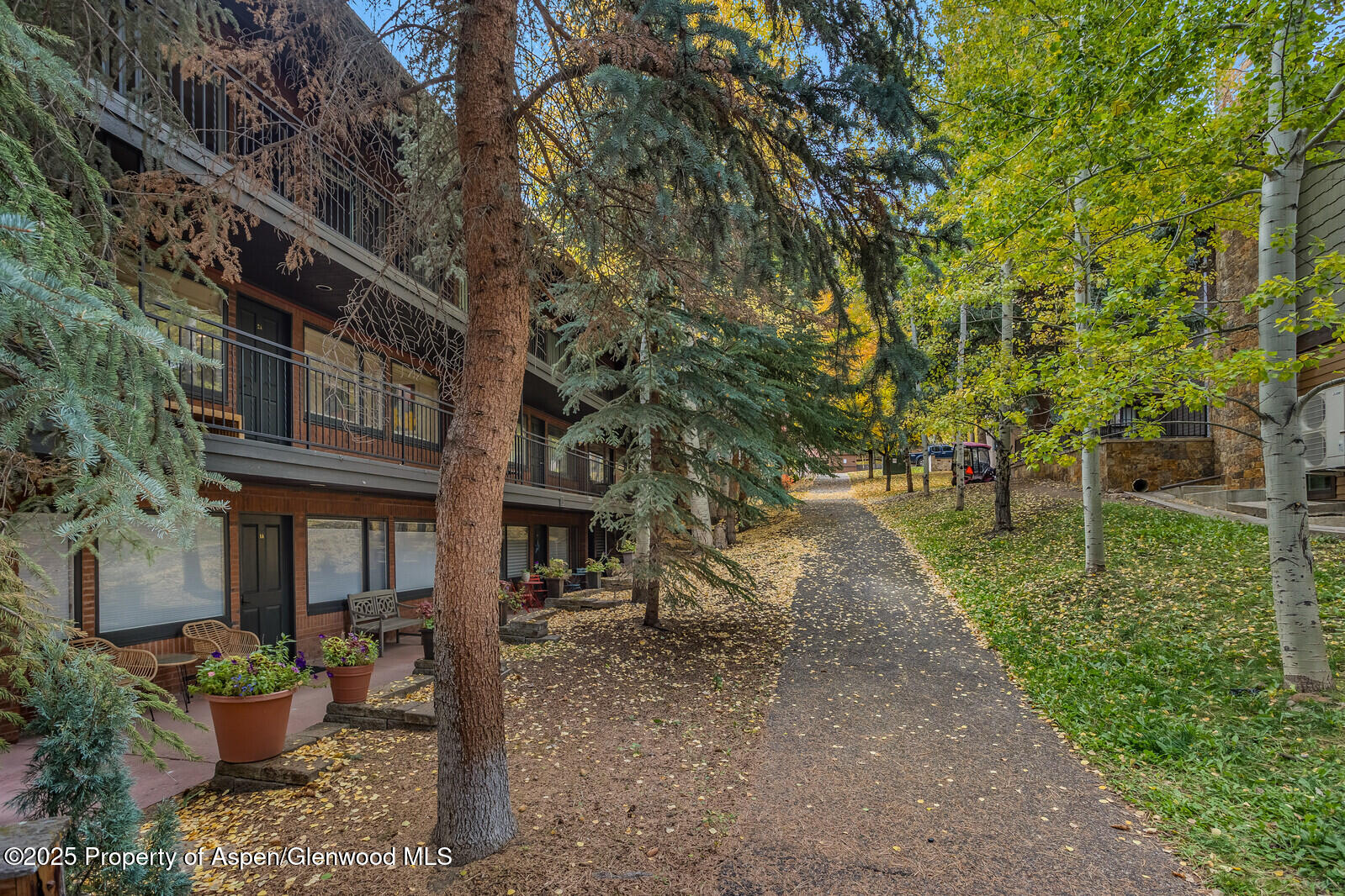 731 S Mill Street Aspen CO 81611