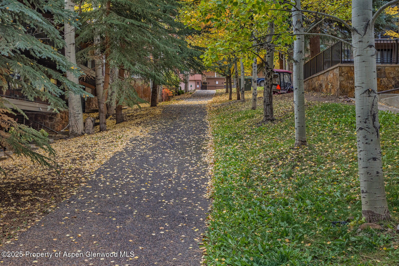 731 S Mill Street Aspen CO 81611