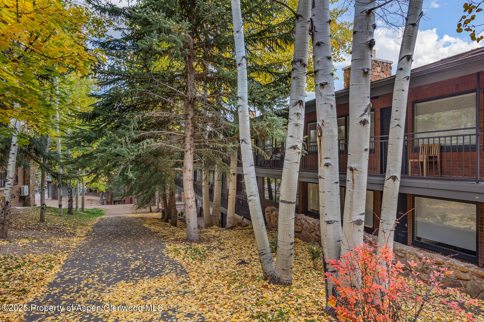 731 S Mill Street Aspen CO 81611
