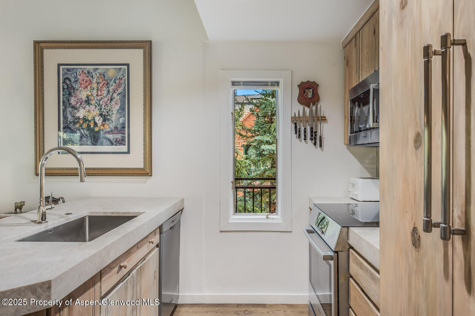 731 S Mill Street Aspen CO 81611