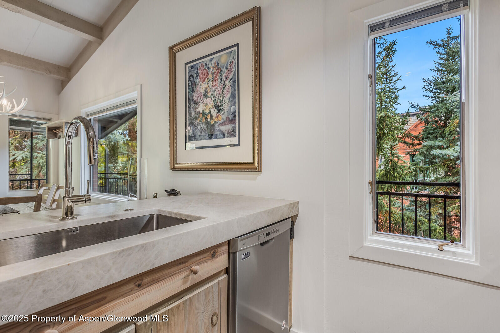 731 S Mill Street Aspen CO 81611