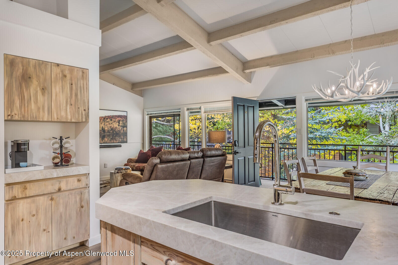 731 S Mill Street Aspen CO 81611