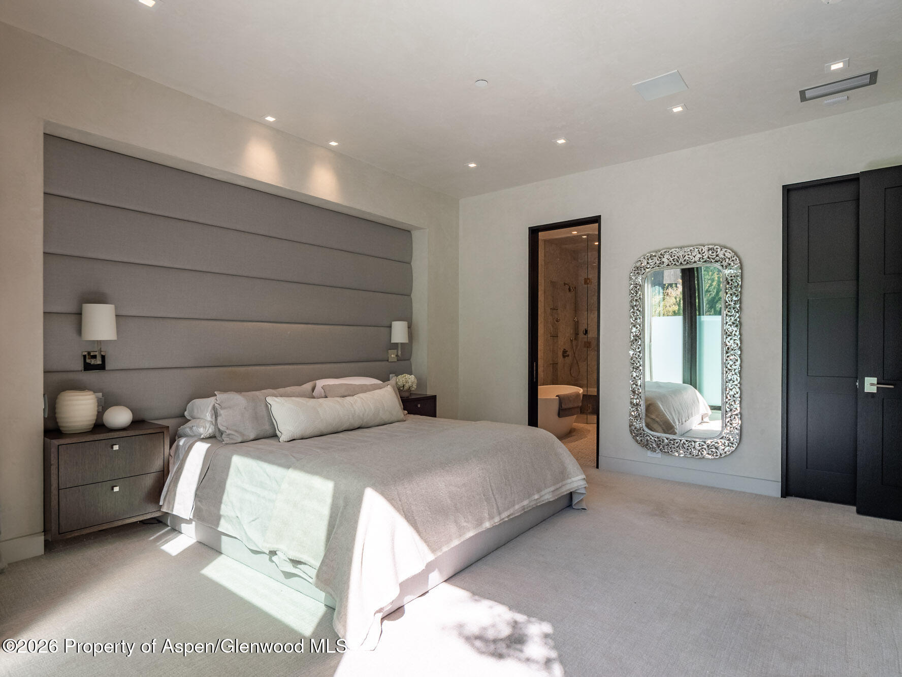 1154 E Cooper Avenue Aspen CO 81611