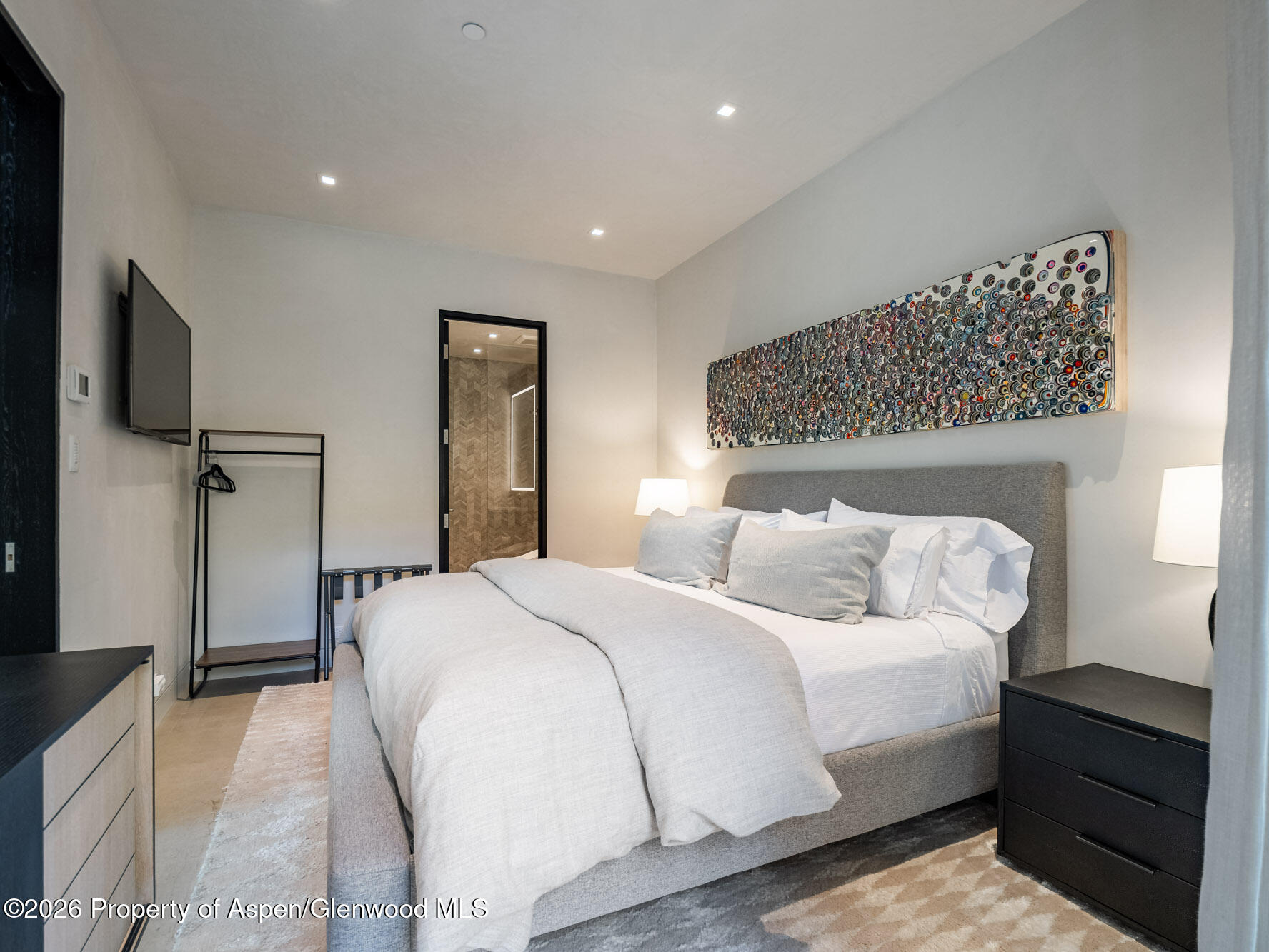 1154 E Cooper Avenue Aspen CO 81611
