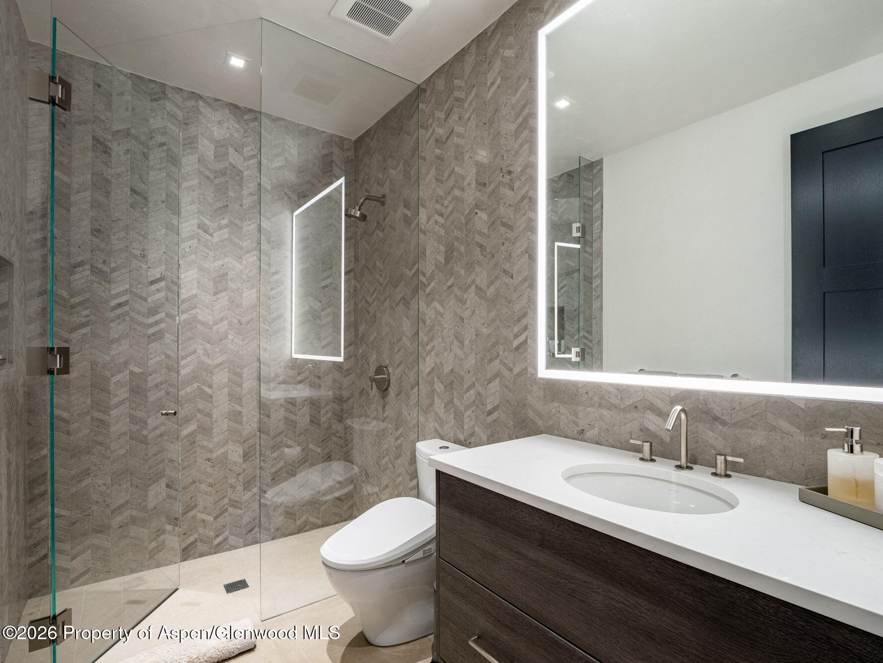 1154 E Cooper Avenue Aspen CO 81611