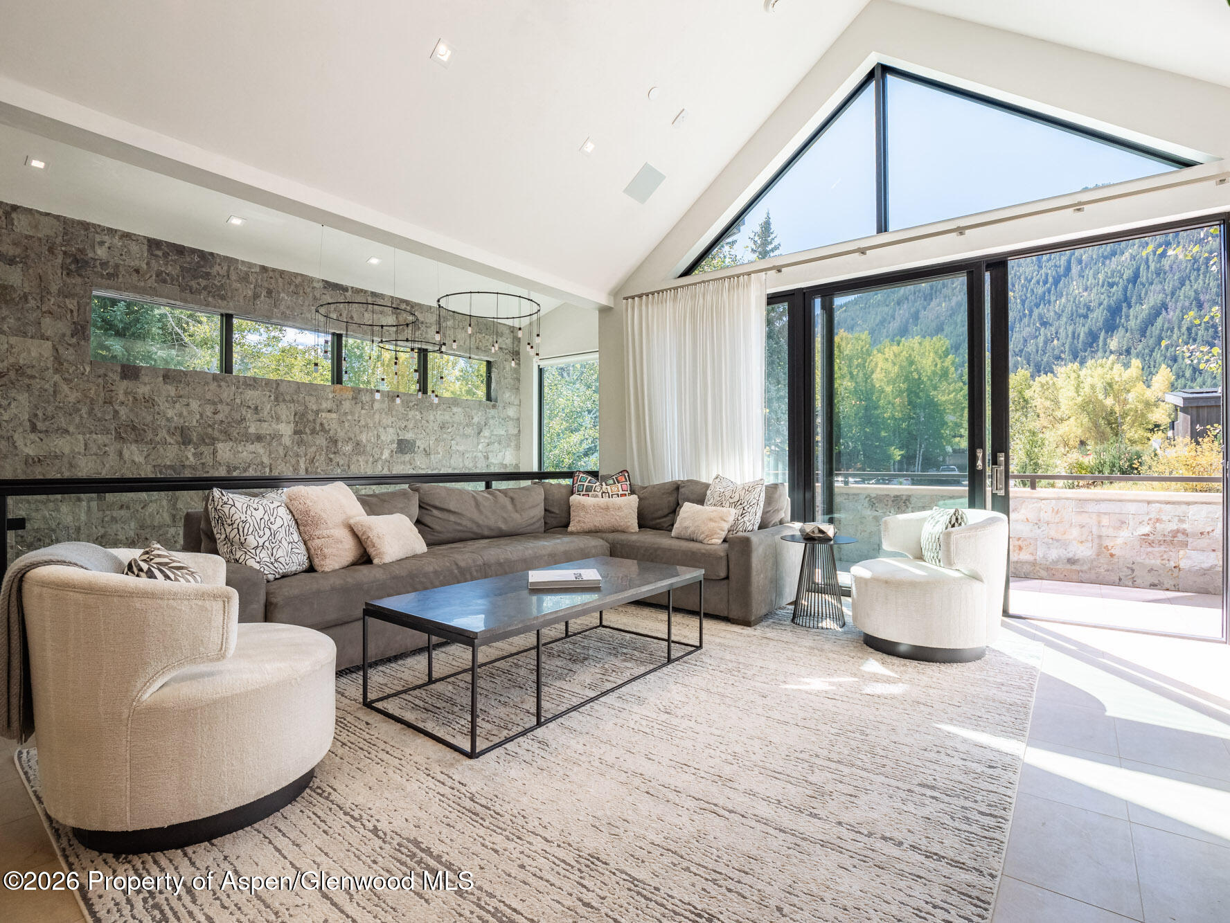 1154 E Cooper Avenue Aspen CO 81611