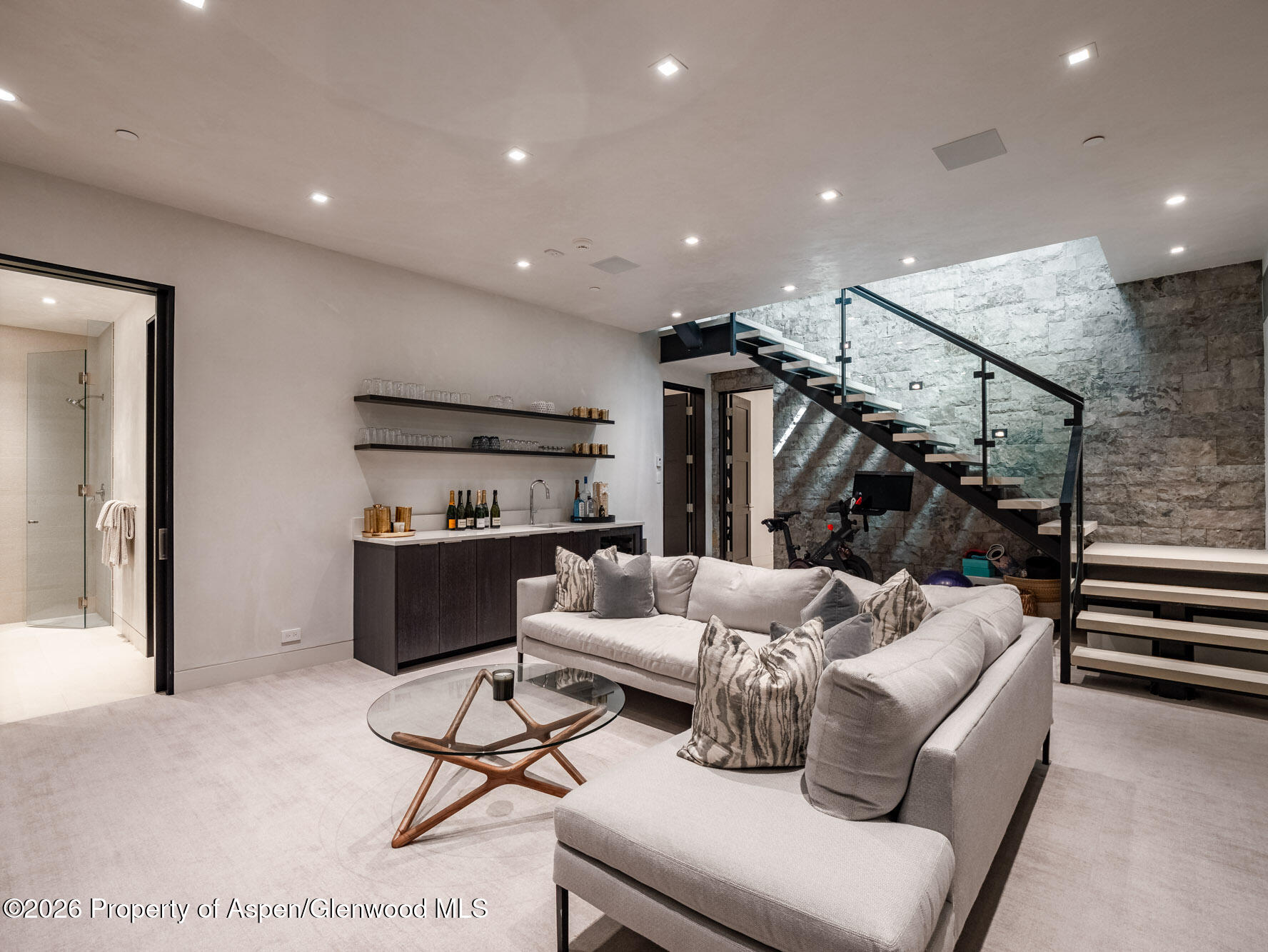 1154 E Cooper Avenue Aspen CO 81611