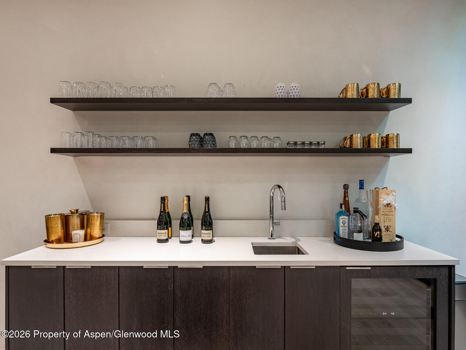 1154 E Cooper Avenue Aspen CO 81611