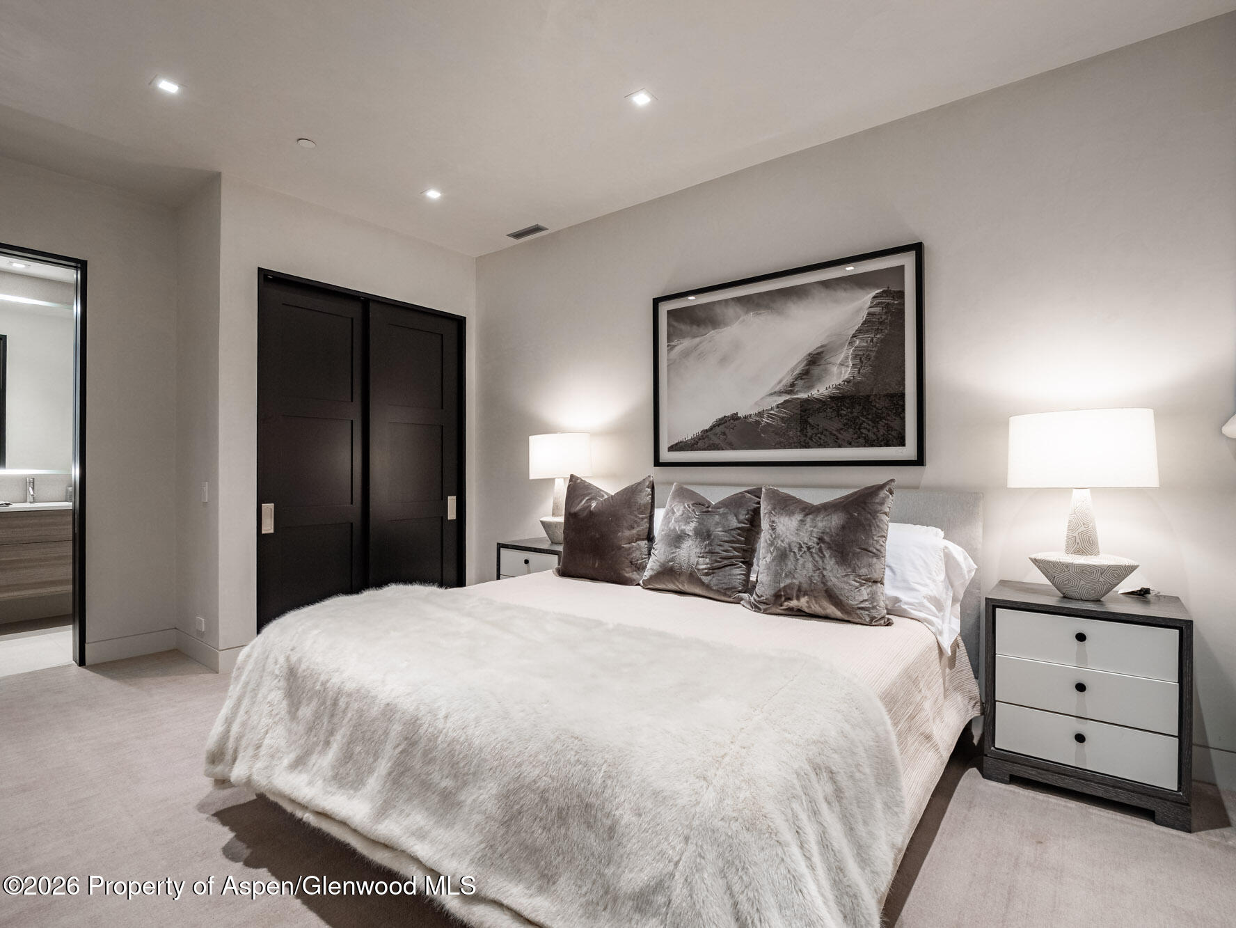 1154 E Cooper Avenue Aspen CO 81611