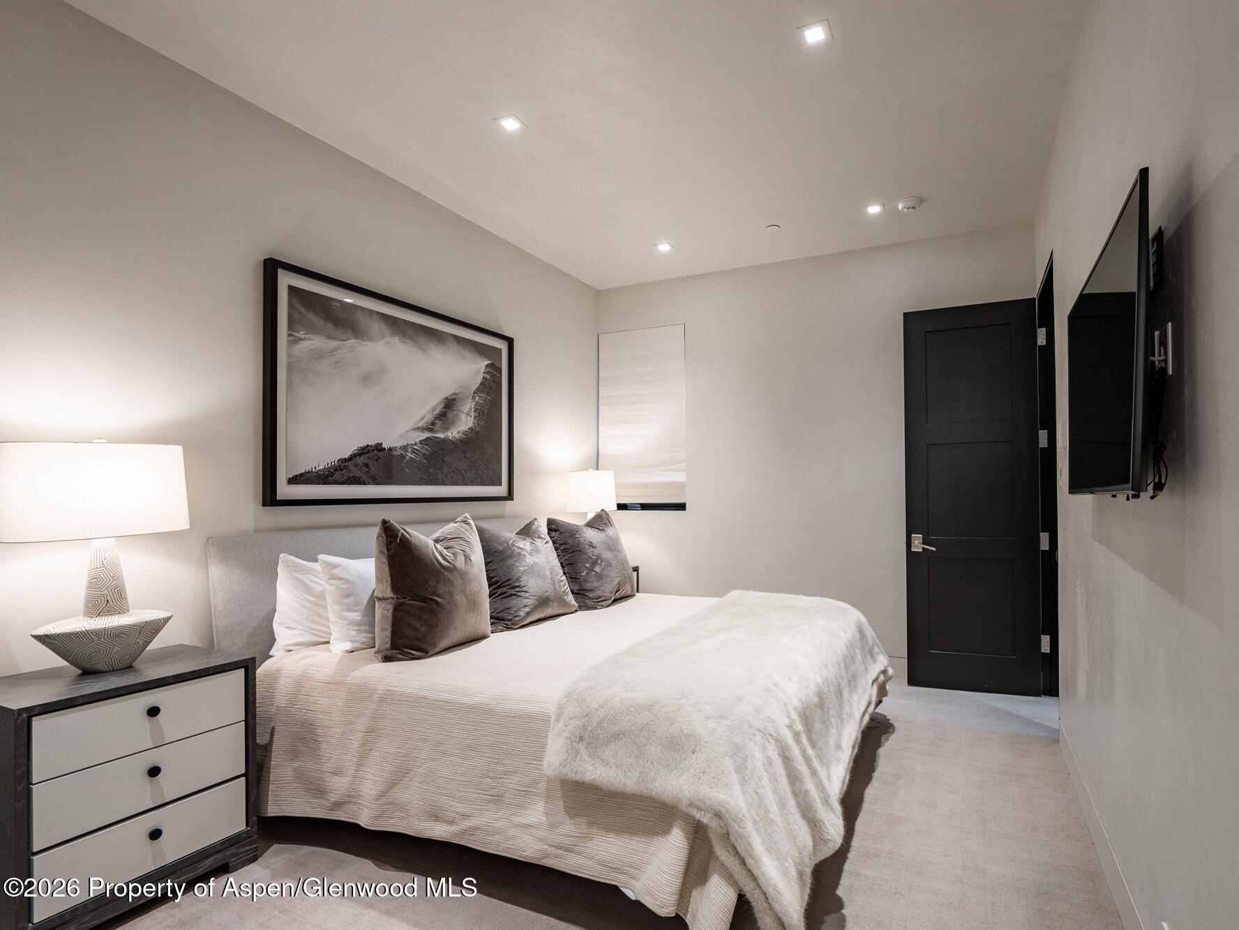 1154 E Cooper Avenue Aspen CO 81611