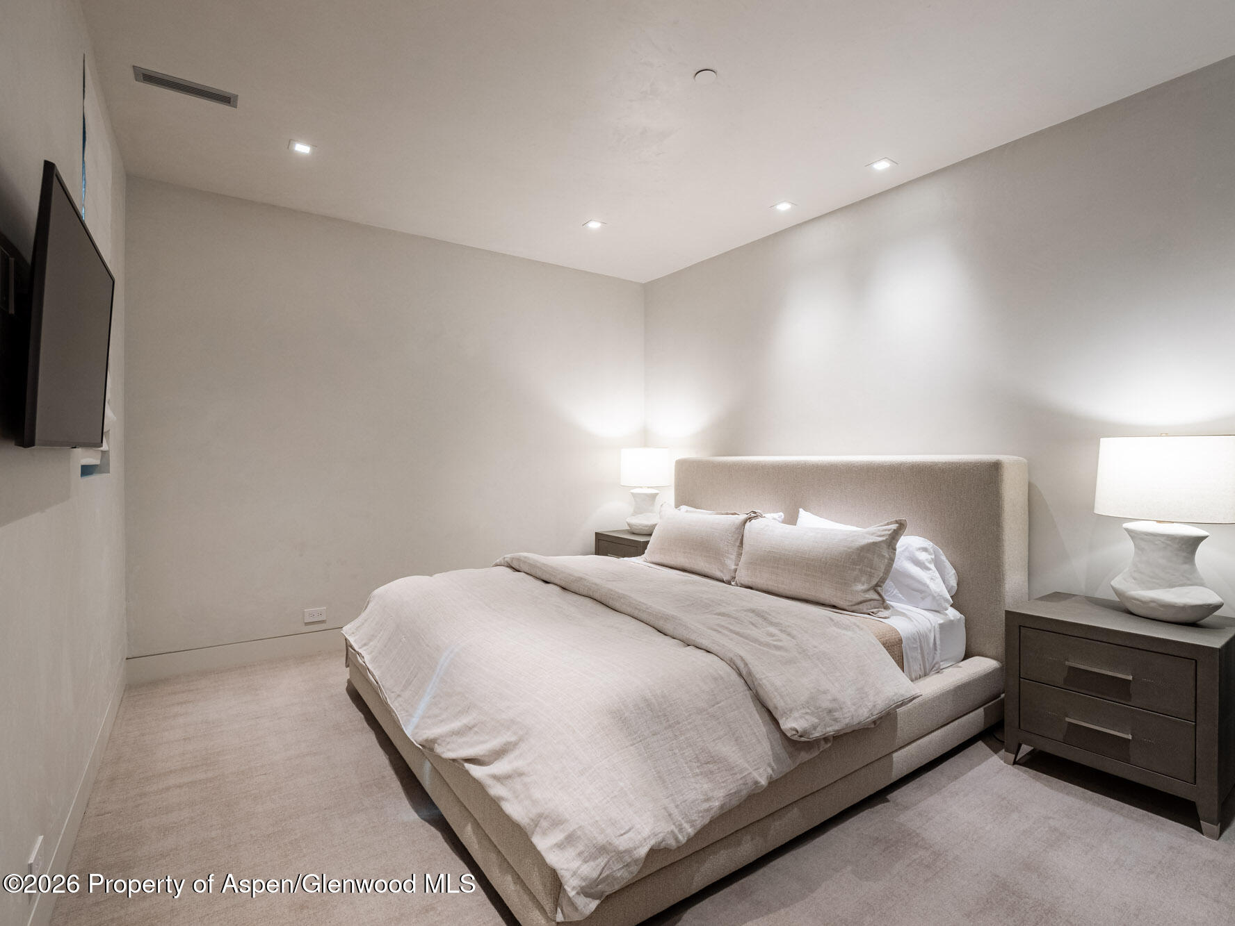1154 E Cooper Avenue Aspen CO 81611