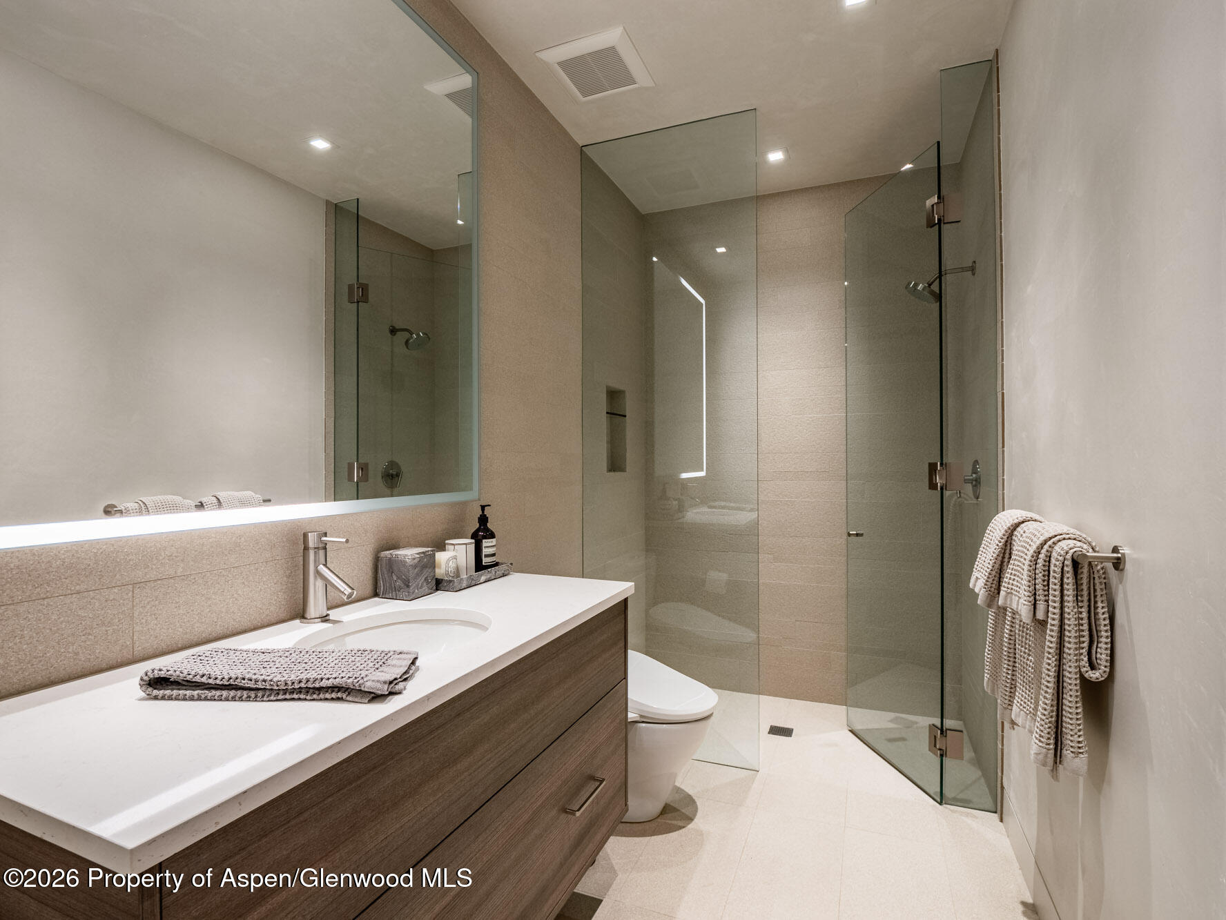 1154 E Cooper Avenue Aspen CO 81611