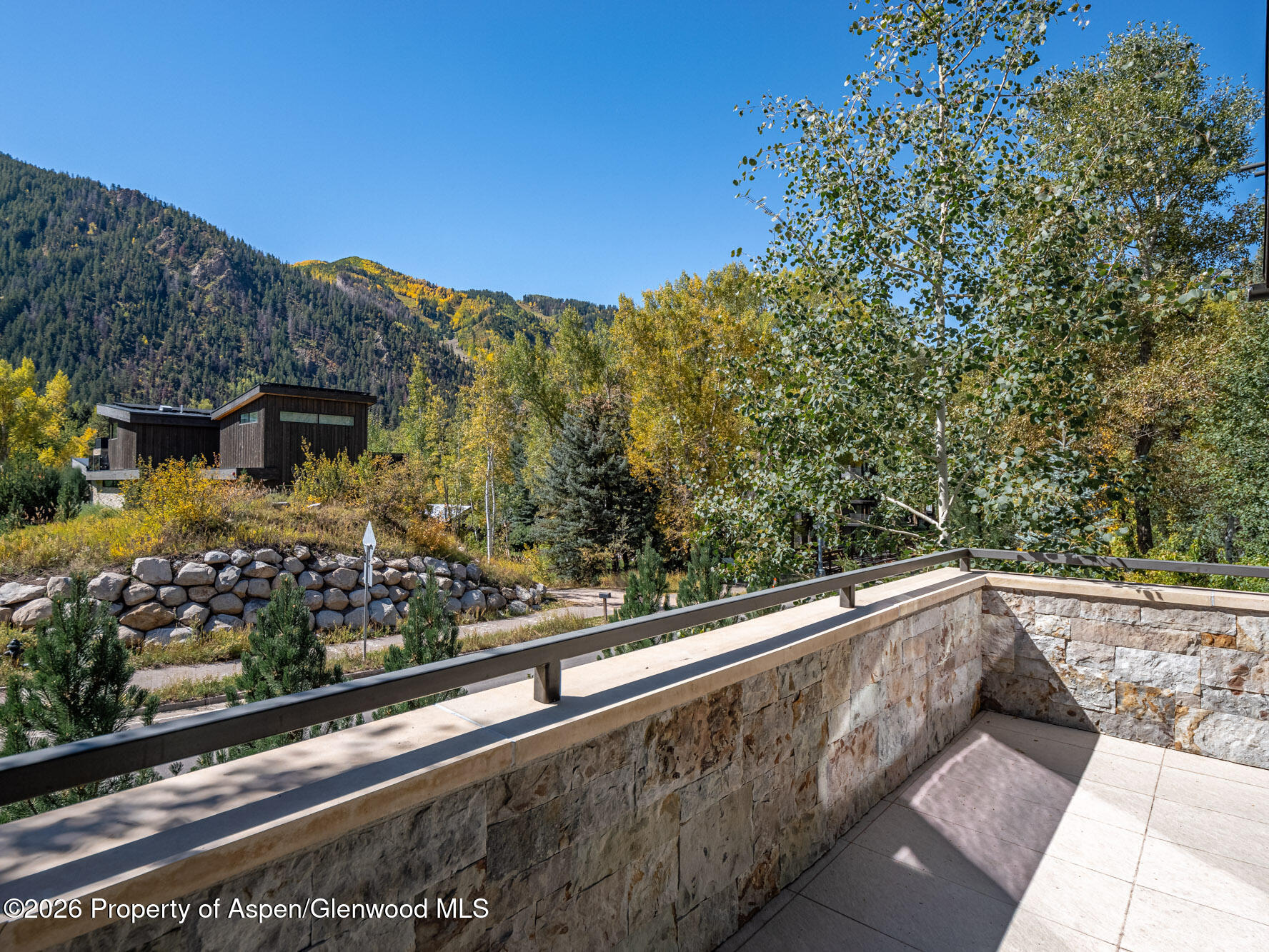 1154 E Cooper Avenue Aspen CO 81611