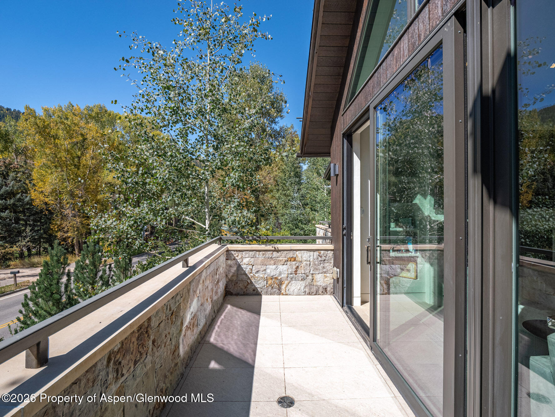 1154 E Cooper Avenue Aspen CO 81611
