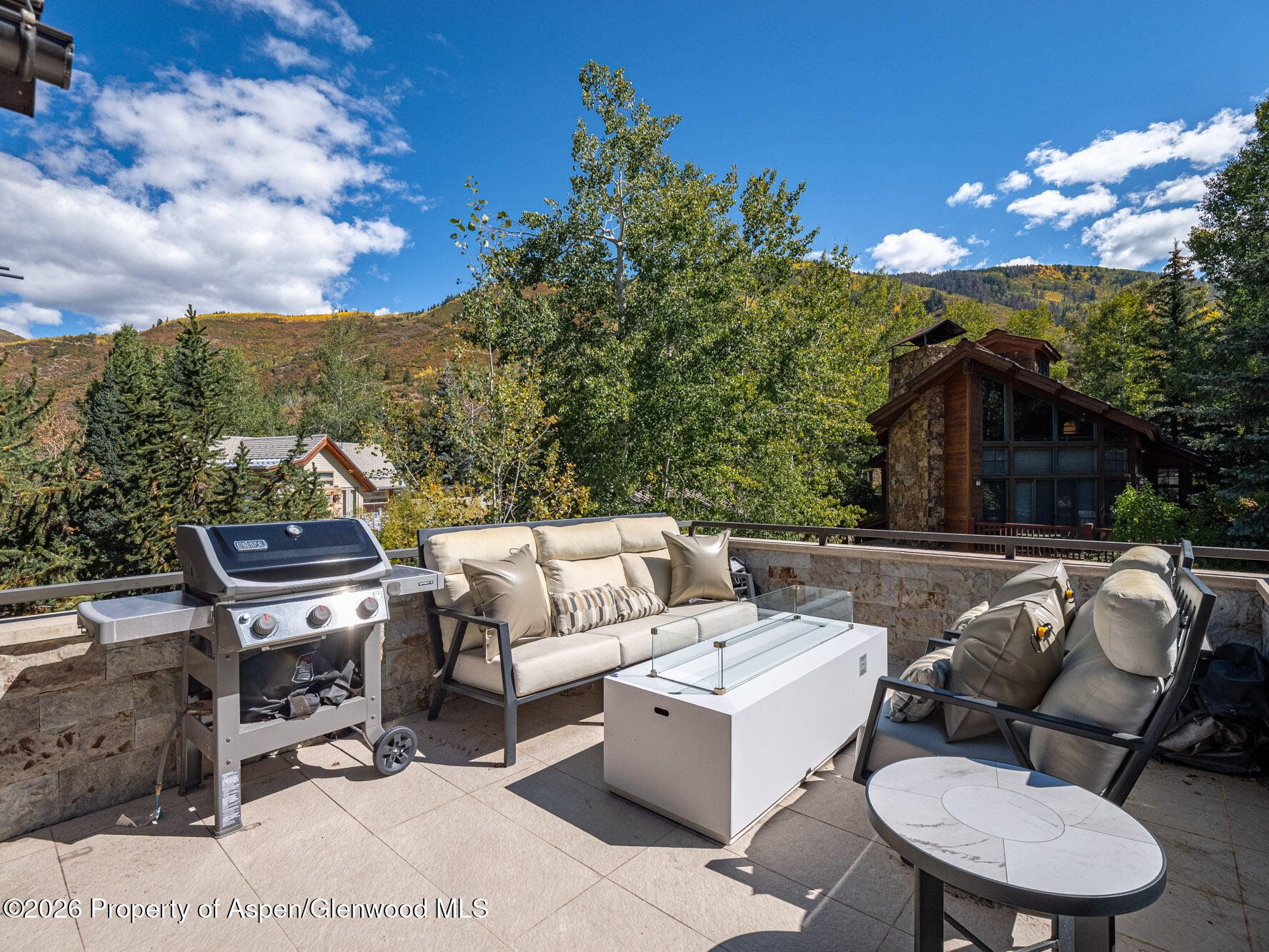 1154 E Cooper Avenue Aspen CO 81611