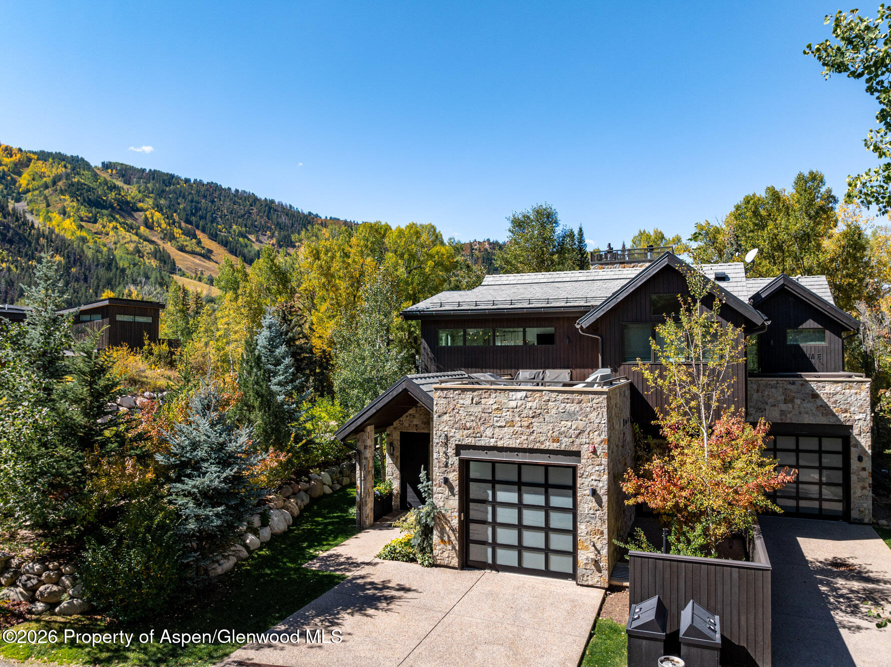 1154 E Cooper Avenue Aspen CO 81611