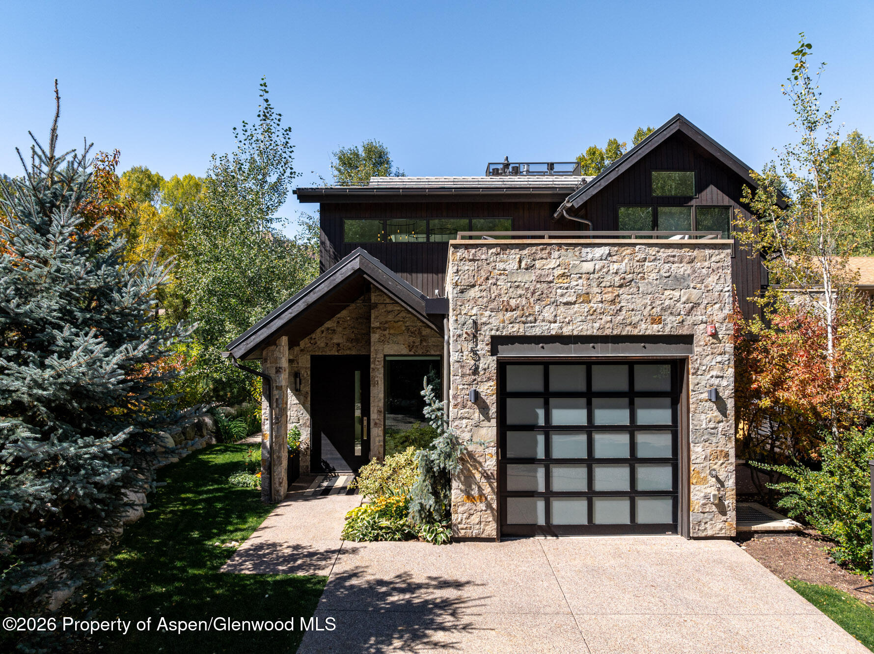 1154 E Cooper Avenue Aspen CO 81611