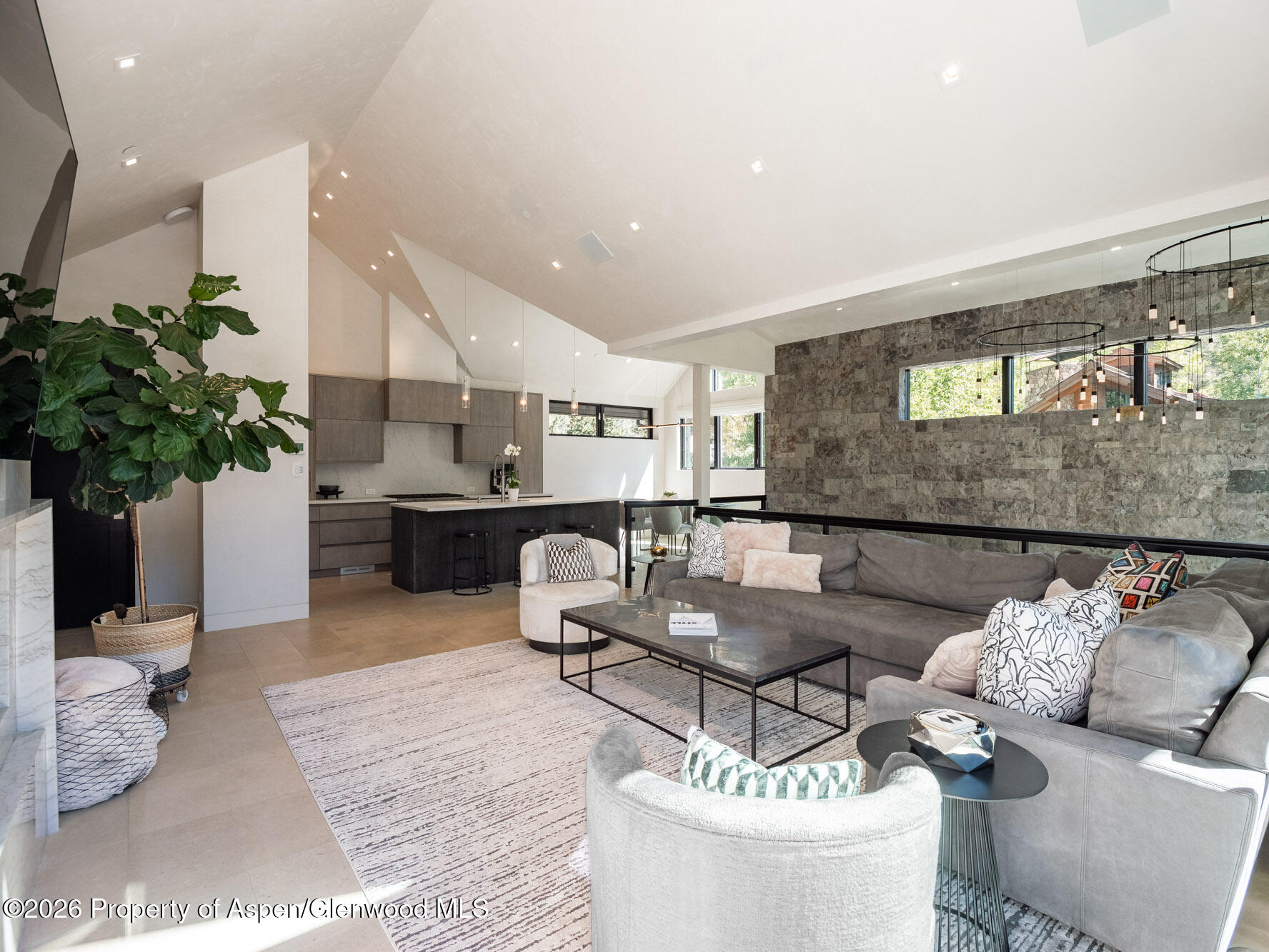 1154 E Cooper Avenue Aspen CO 81611