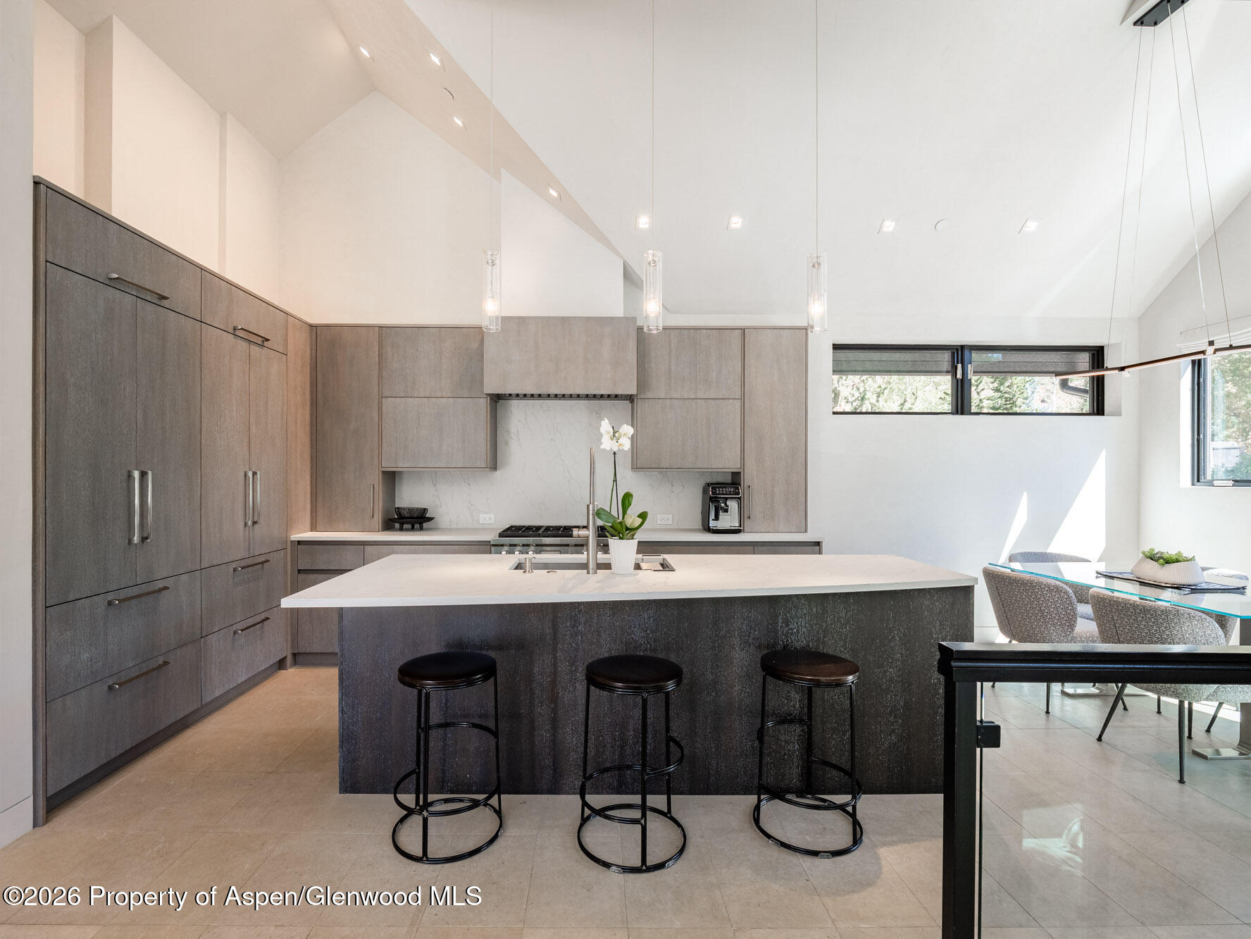 1154 E Cooper Avenue Aspen CO 81611