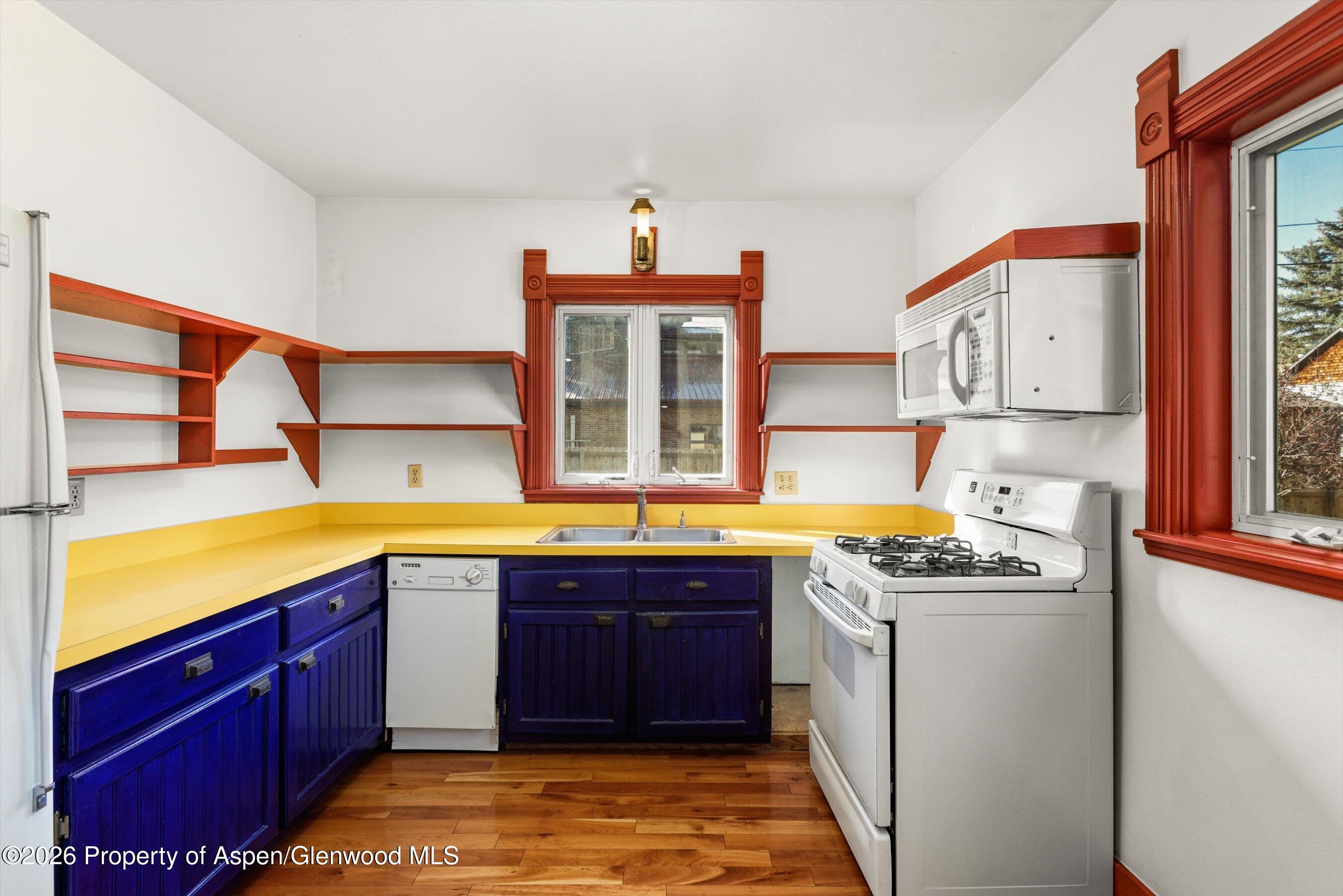 235 E Homestead Drive Basalt CO 81621