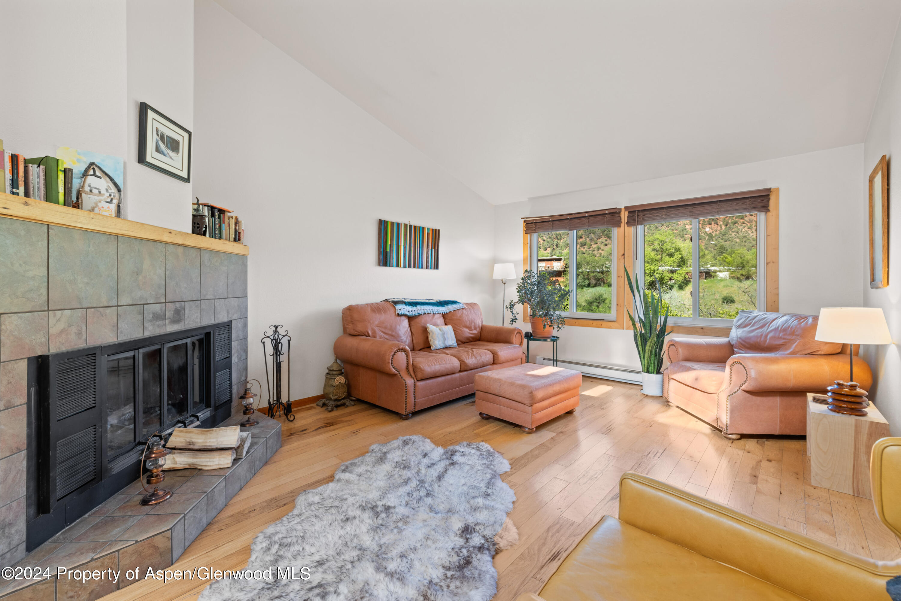 3010 Hager Lane Glenwood Springs CO 81601