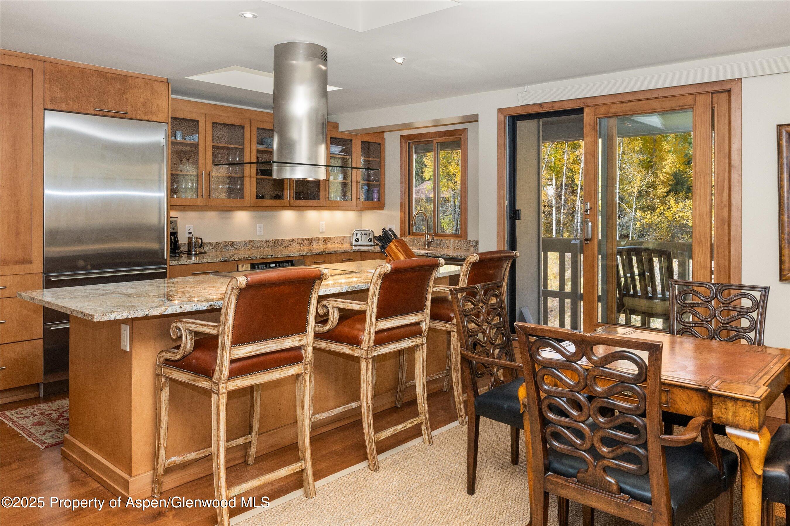 1020 E Hopkins Avenue Aspen CO 81611