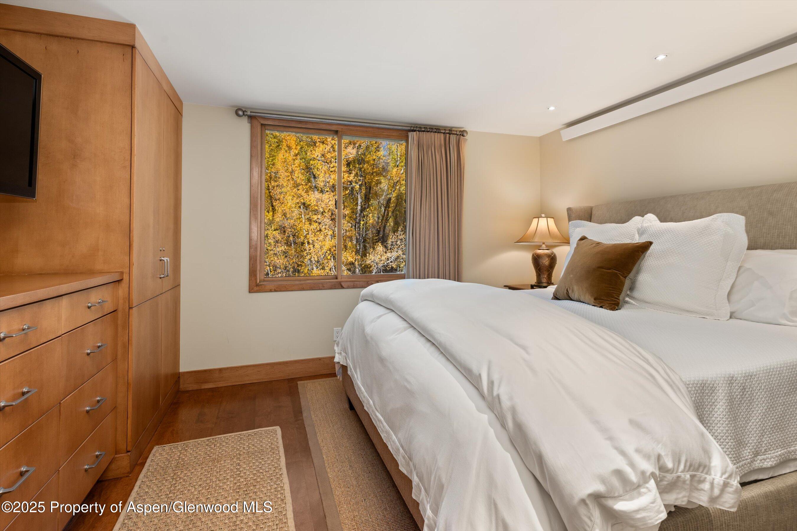 1020 E Hopkins Avenue Aspen CO 81611