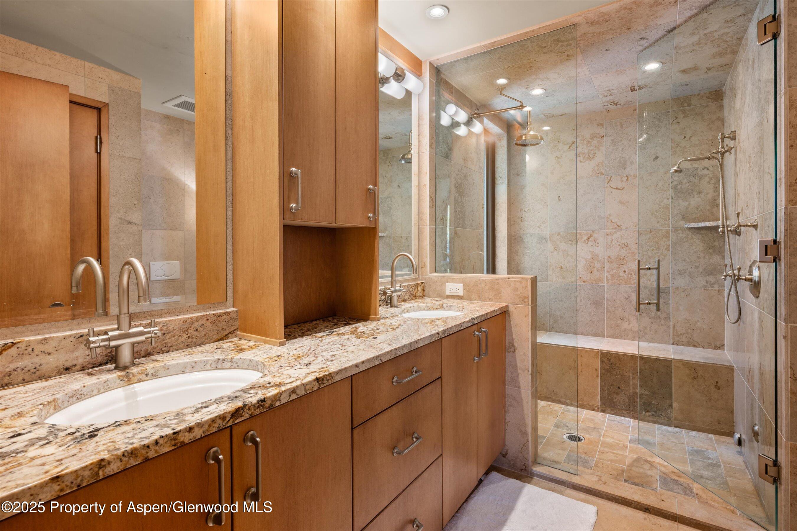 1020 E Hopkins Avenue Aspen CO 81611