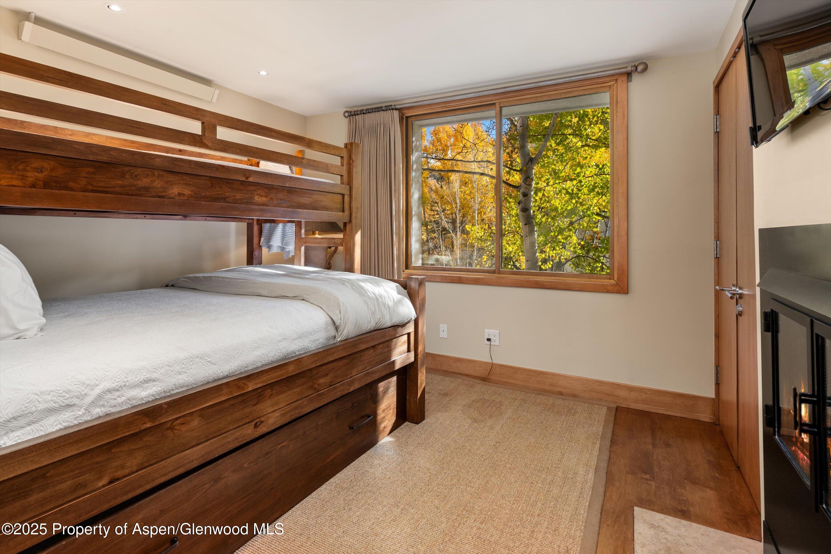 1020 E Hopkins Avenue Aspen CO 81611