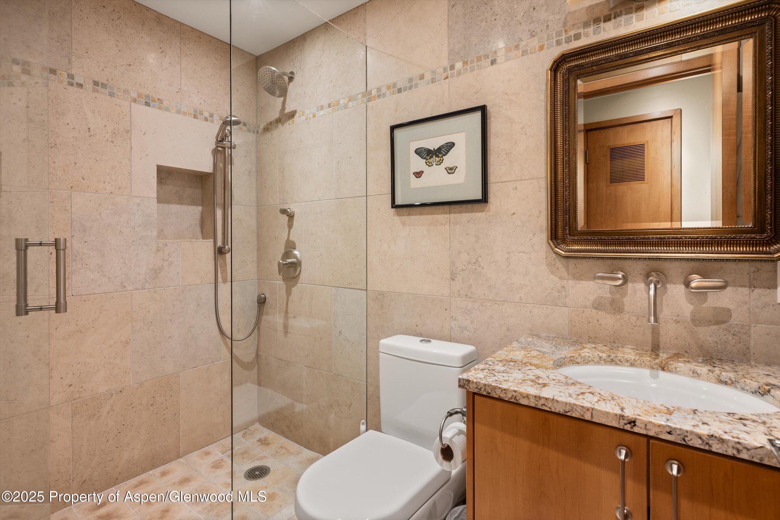 1020 E Hopkins Avenue Aspen CO 81611