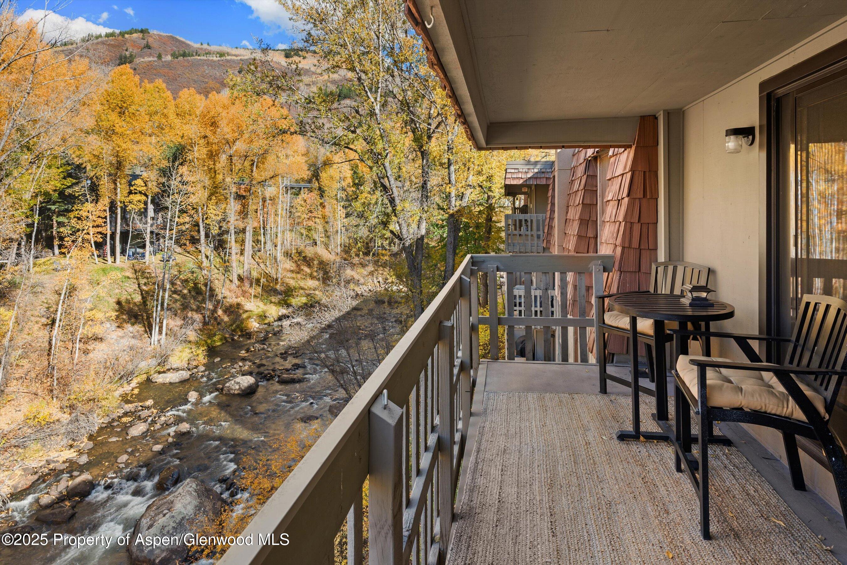 1020 E Hopkins Avenue Aspen CO 81611