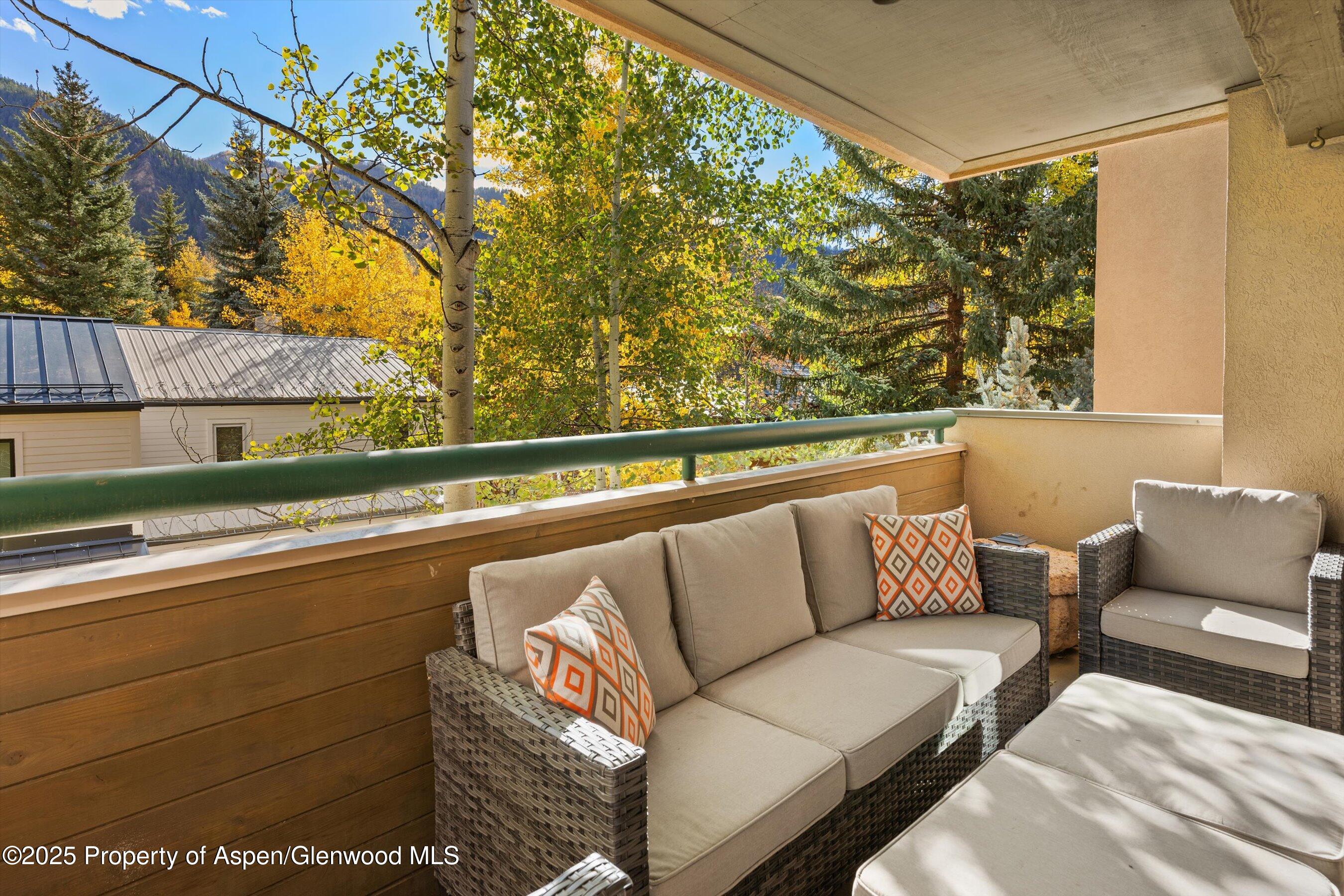 1020 E Hopkins Avenue Aspen CO 81611