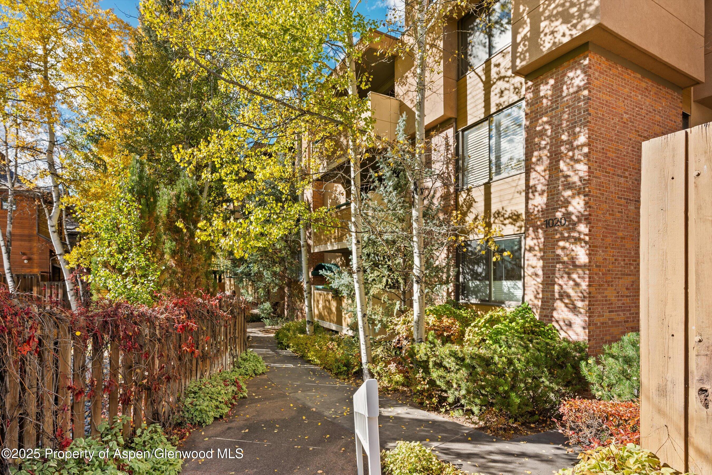 1020 E Hopkins Avenue Aspen CO 81611