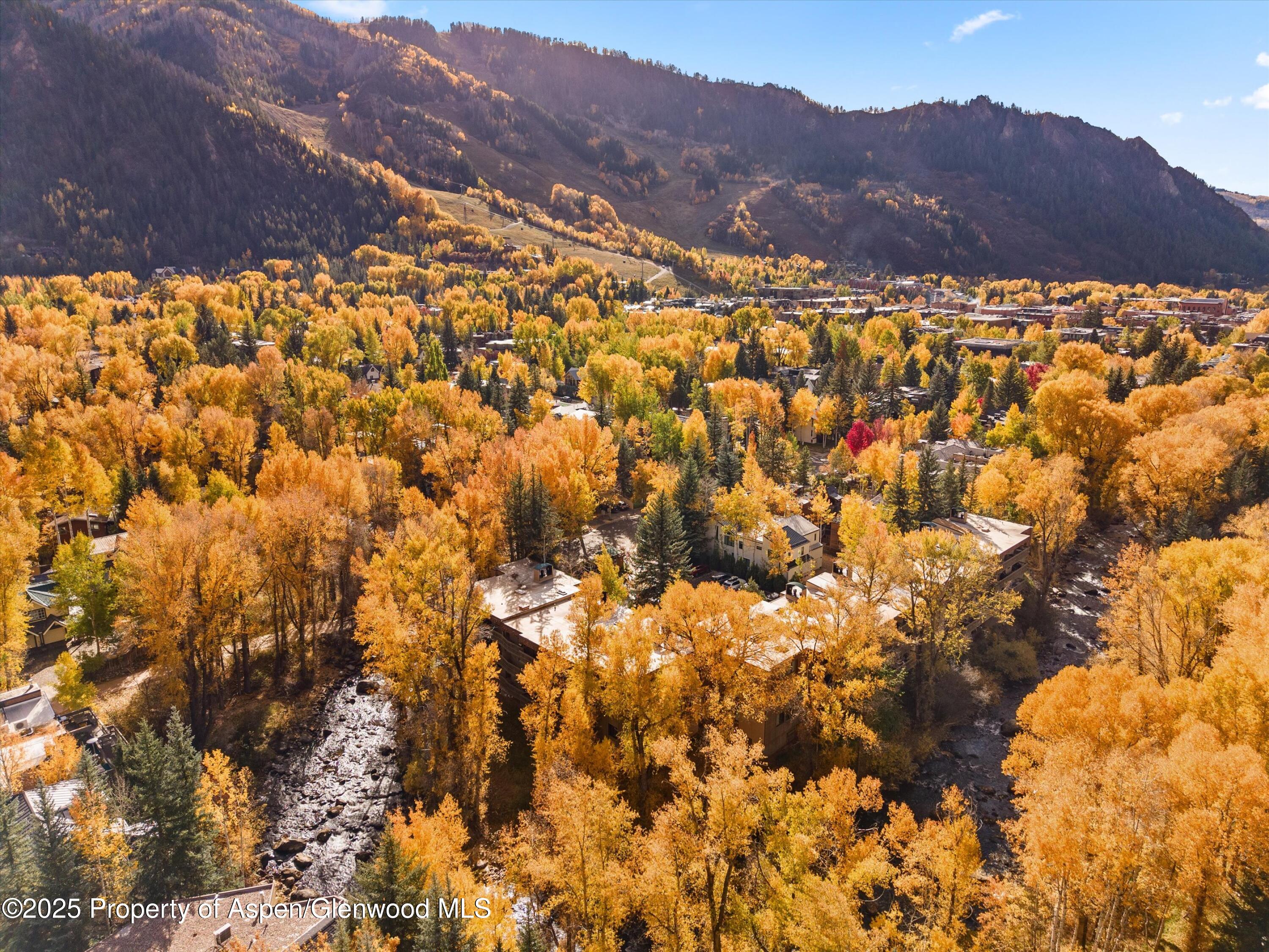 1020 E Hopkins Avenue Aspen CO 81611